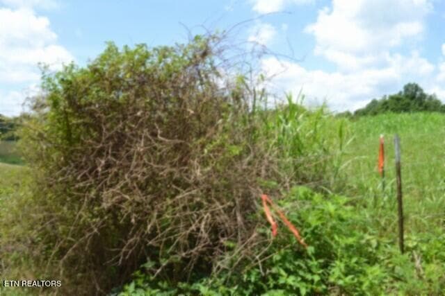 PROPERTY RIBBONS MARKERS - Lot 10 Rose Hill Ed Rd, Red Boiling Springs, TN 37150