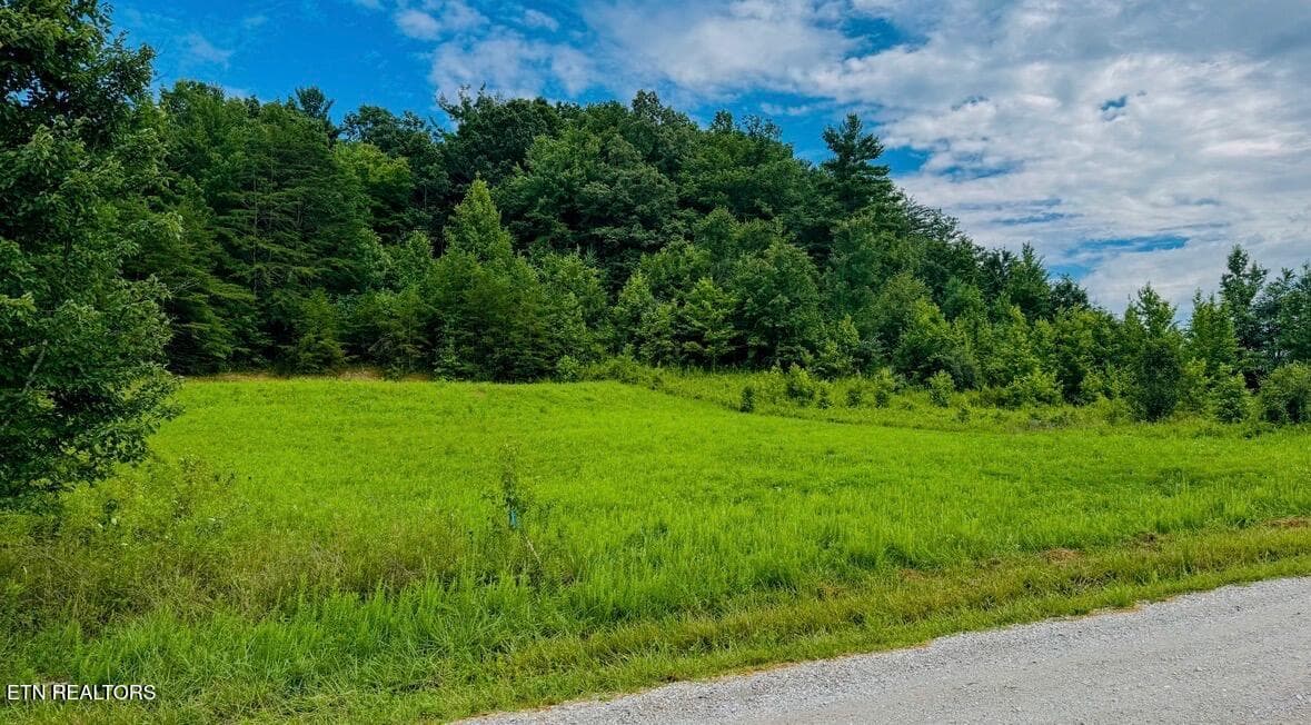 Clay Boyatt Rd, Oneida, TN 37841