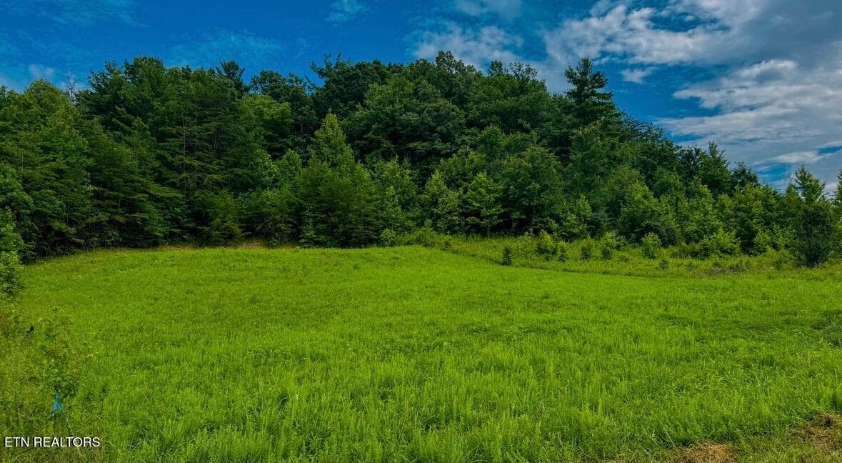 IMG_3182 - Clay Boyatt Rd, Oneida, TN 37841