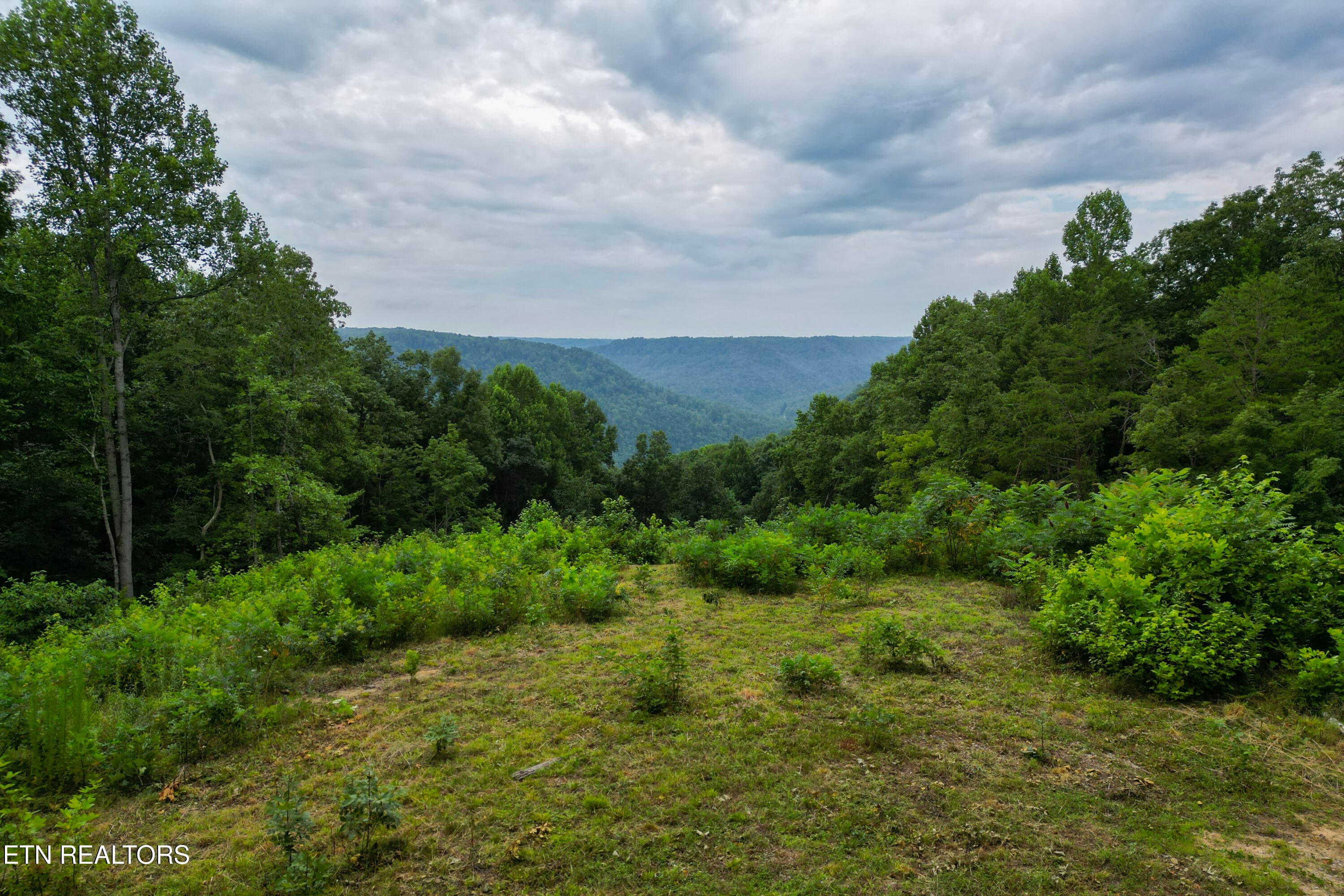 7-DJI_0157 - 722 Flat Top View Lane, Wilder, TN 38589