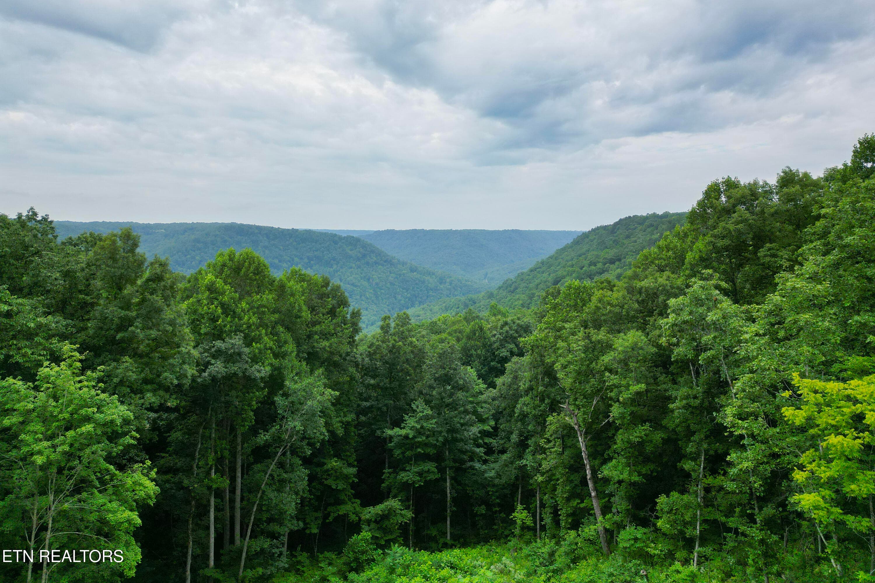 9-DJI_0160 - 722 Flat Top View Lane, Wilder, TN 38589