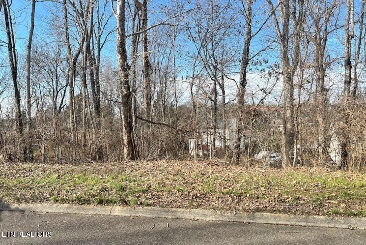 6024 Tennyson Drive, Knoxville, TN 37909