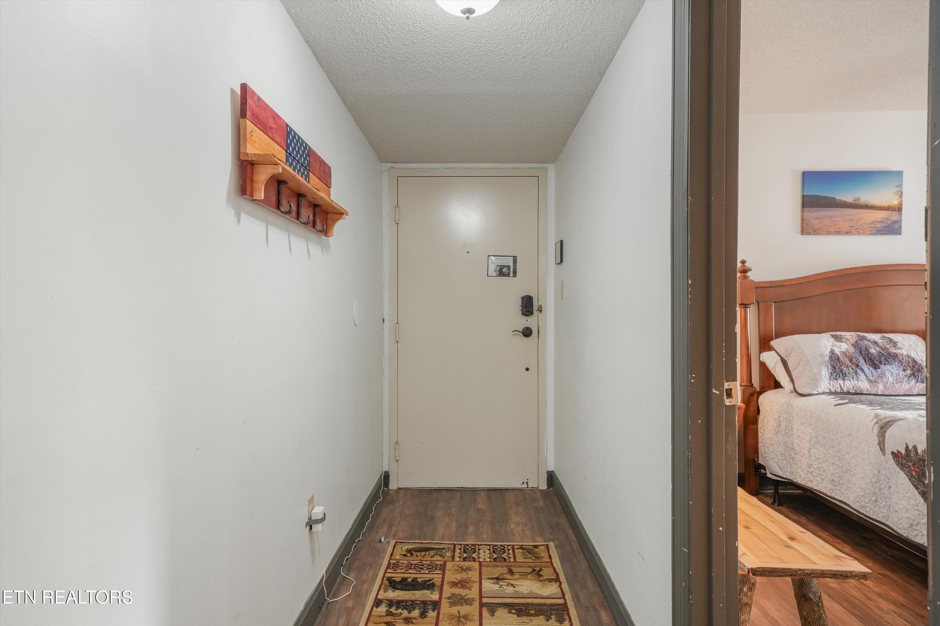Hallway Entry View - 1260 Ski View Drive 5305, Gatlinburg, TN 37738, Gatlinburg