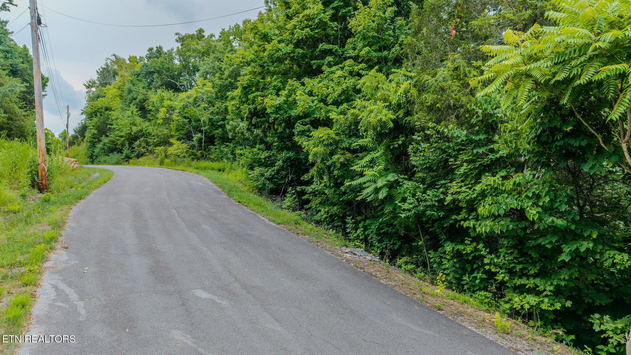 Lot 35 Fishtail Cove, Dandridge, TN 37725