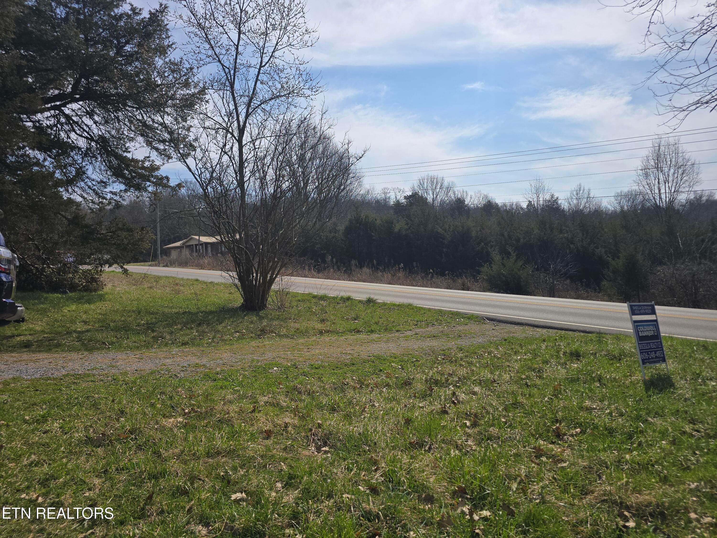 20260306_112101 - 404 Cedar Fork Rd, Tazewell, TN 37879