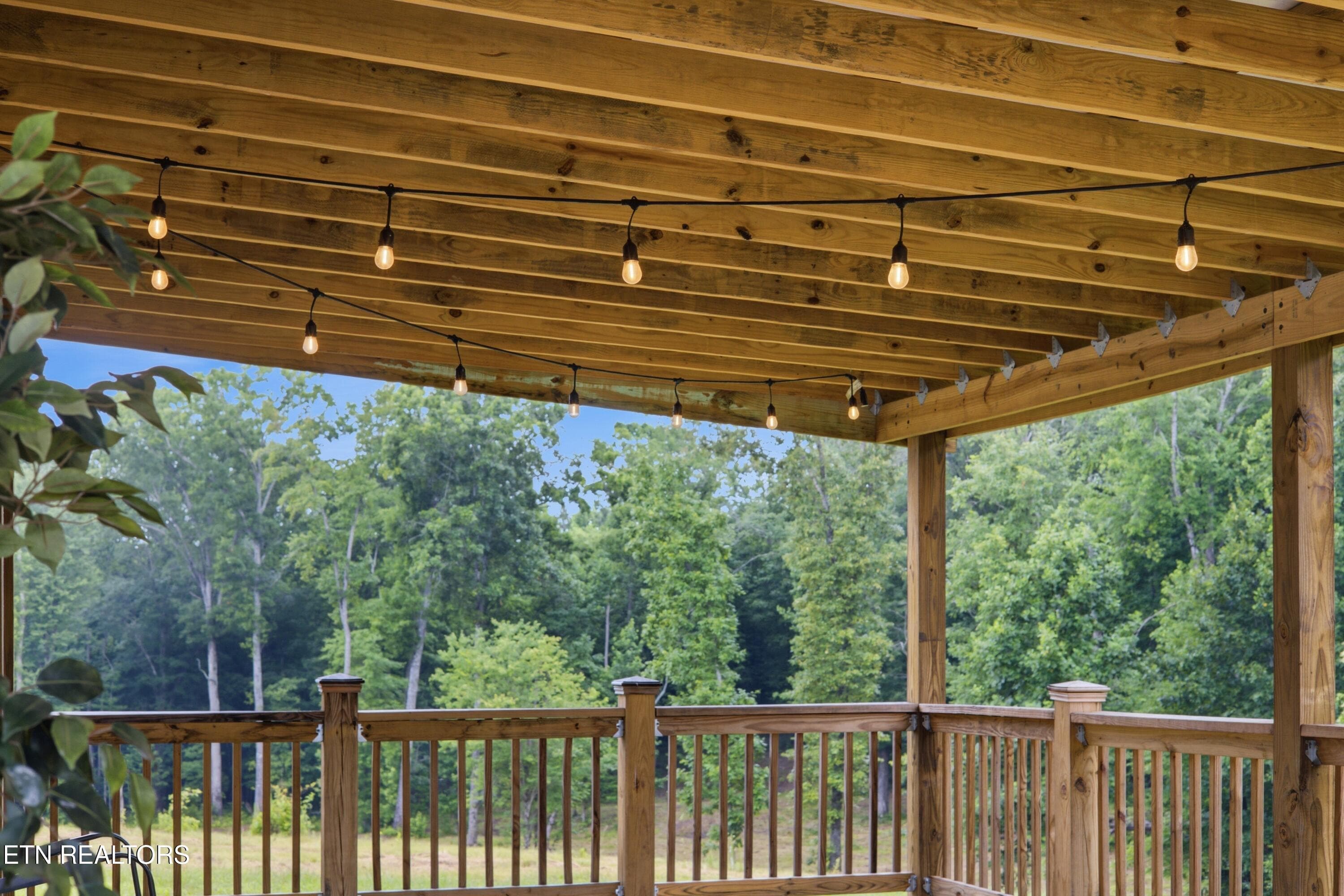 Back porch - 127 Narramore Lane, Philadelphia, TN 37846