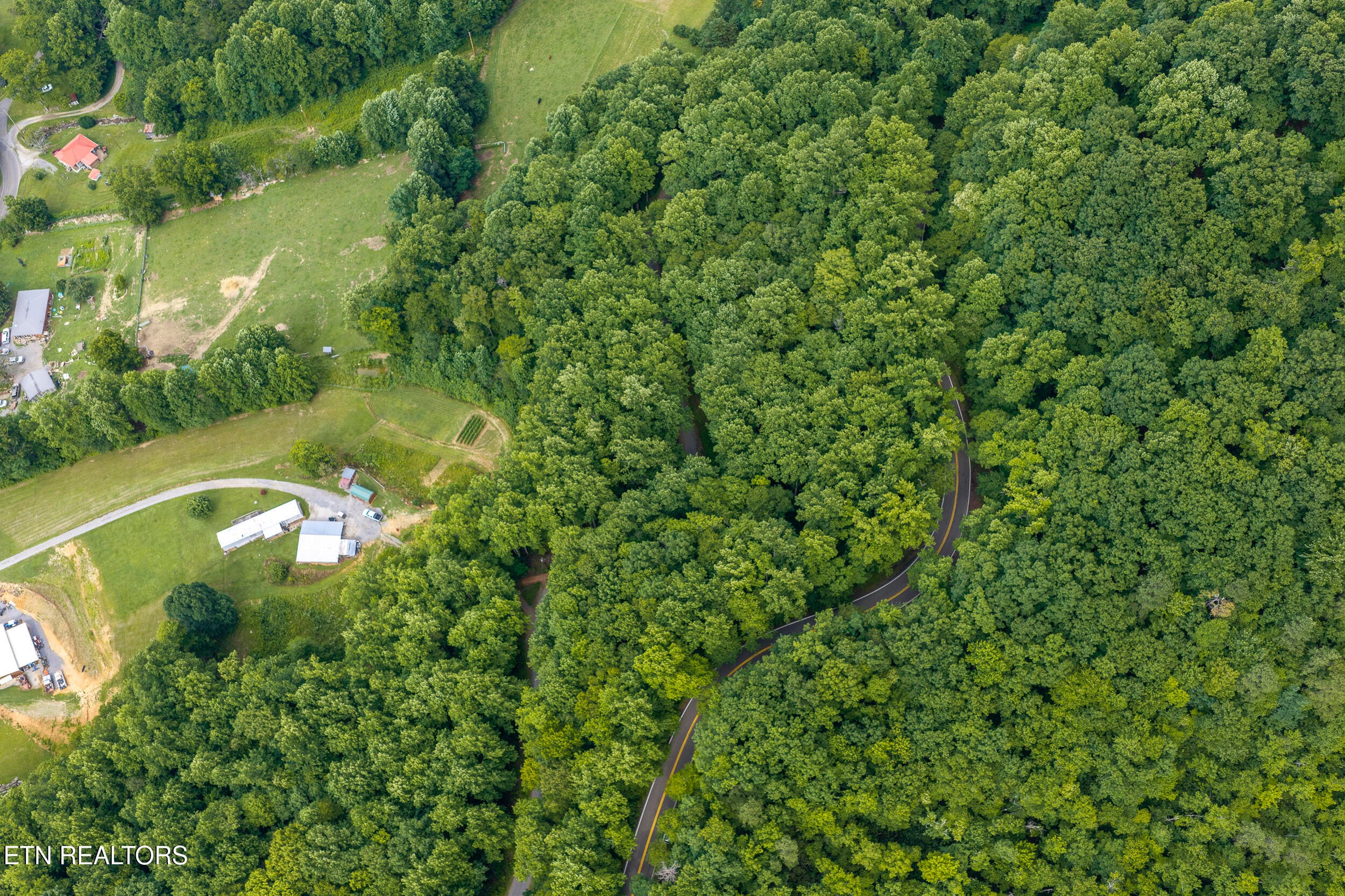 DJI_20260705163616_0459_D-HDR - Emilyville Way, Cosby, TN 37722