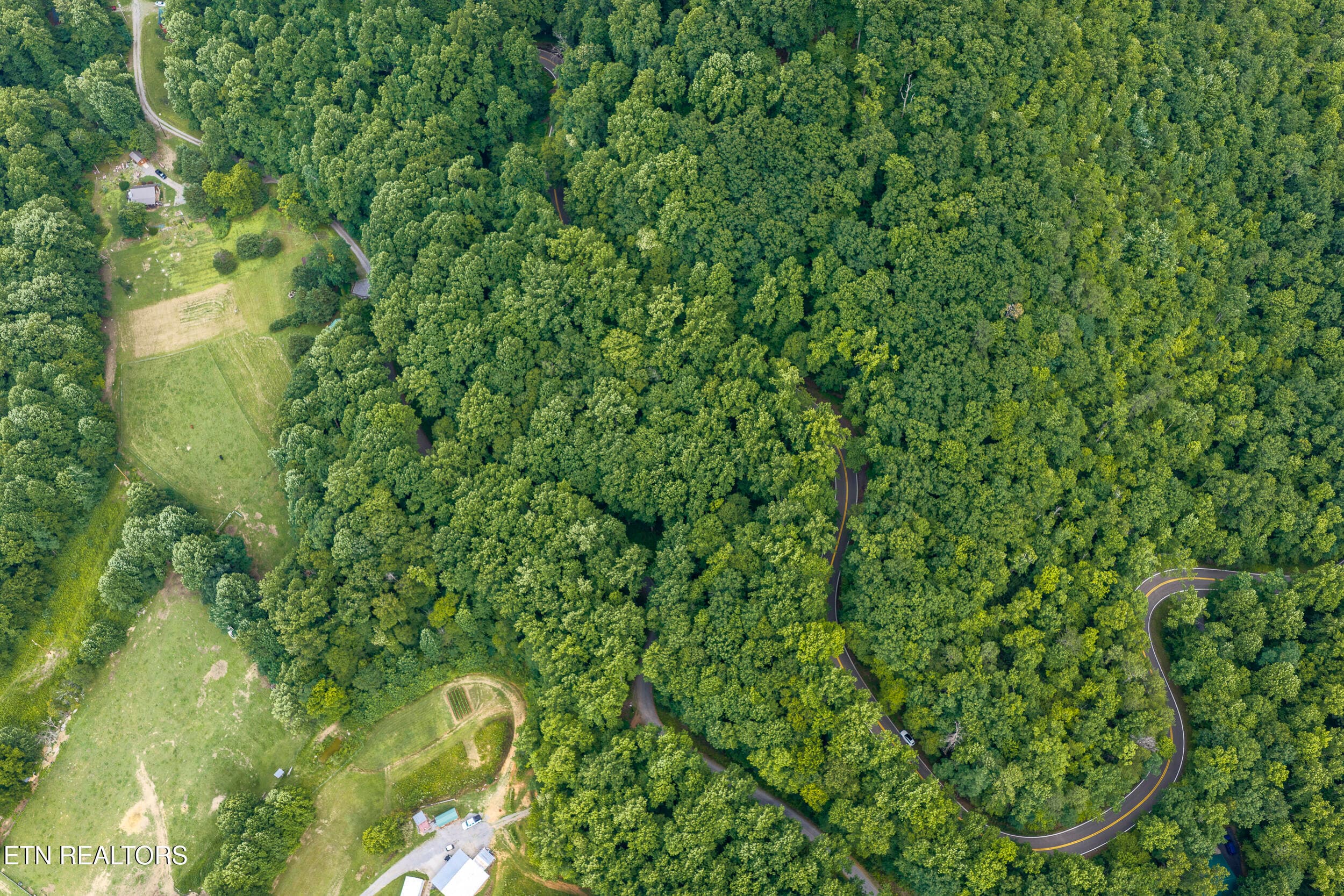 DJI_20260705163631_0464_D-HDR - Emilyville Way, Cosby, TN 37722