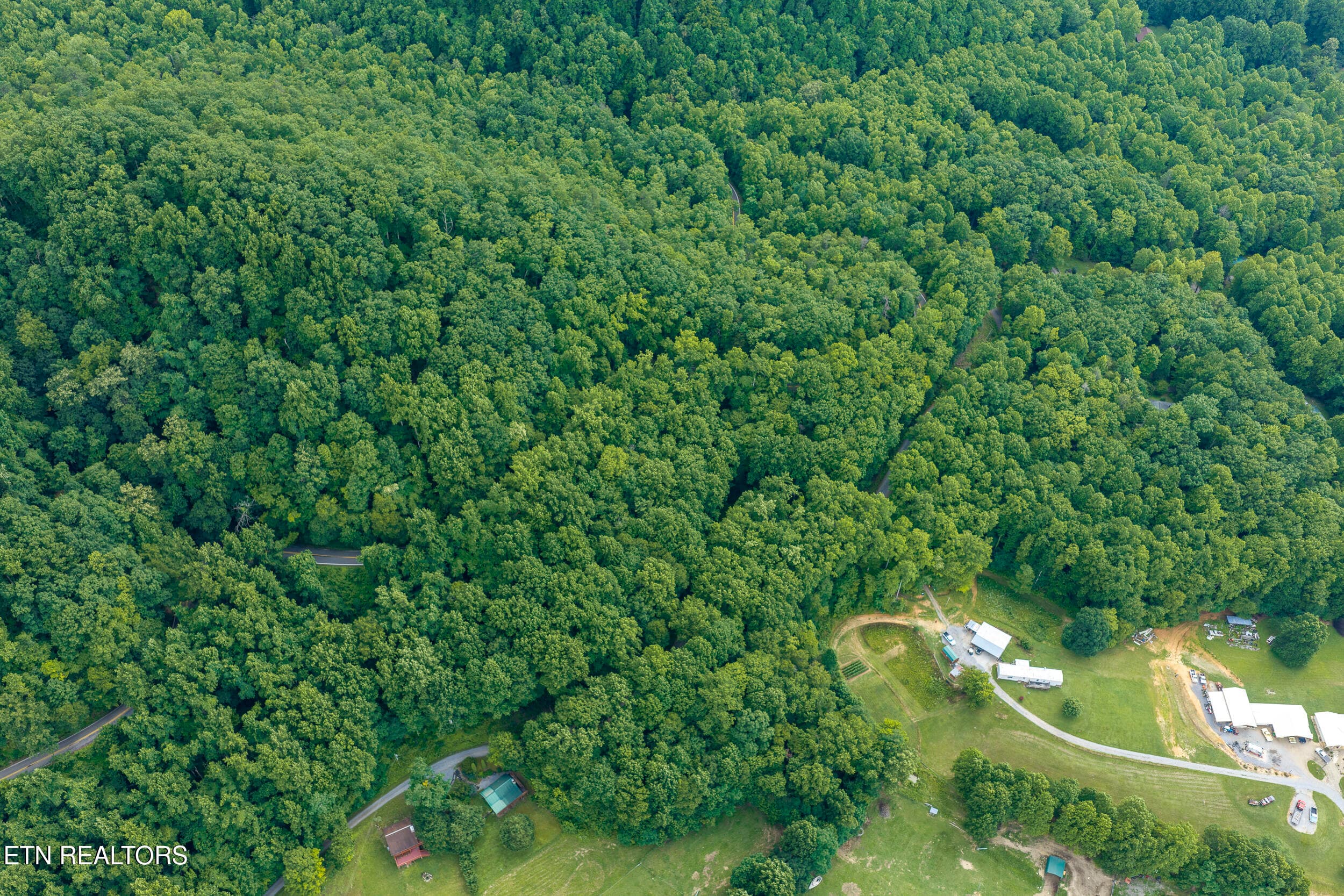 DJI_20260705164017_0504_D-HDR - Emilyville Way, Cosby, TN 37722