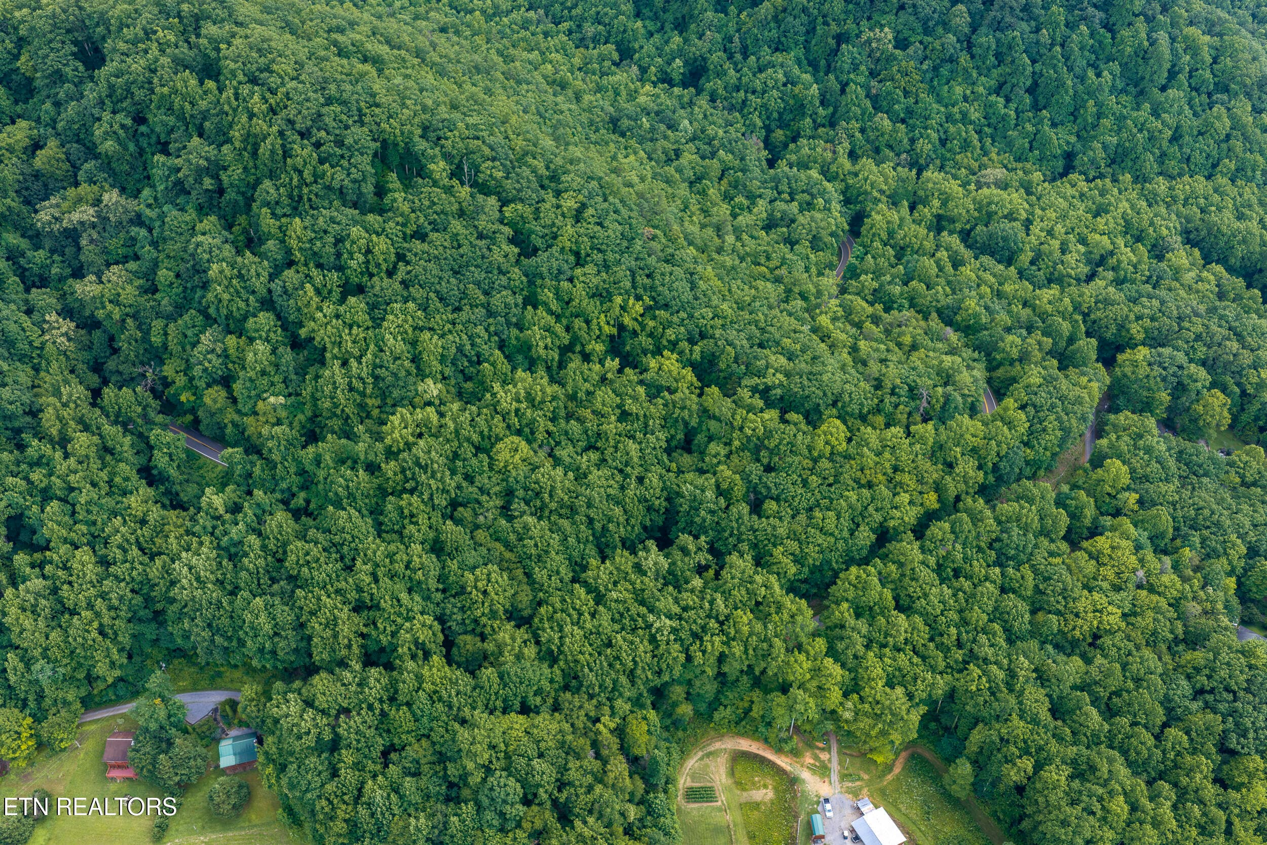 DJI_20260705164034_0509_D-HDR - Emilyville Way, Cosby, TN 37722