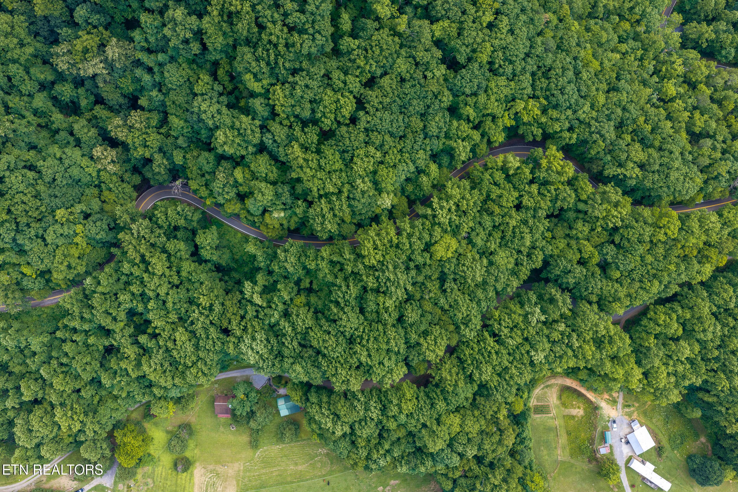 DJI_20260705164113_0514_D-HDR - Emilyville Way, Cosby, TN 37722