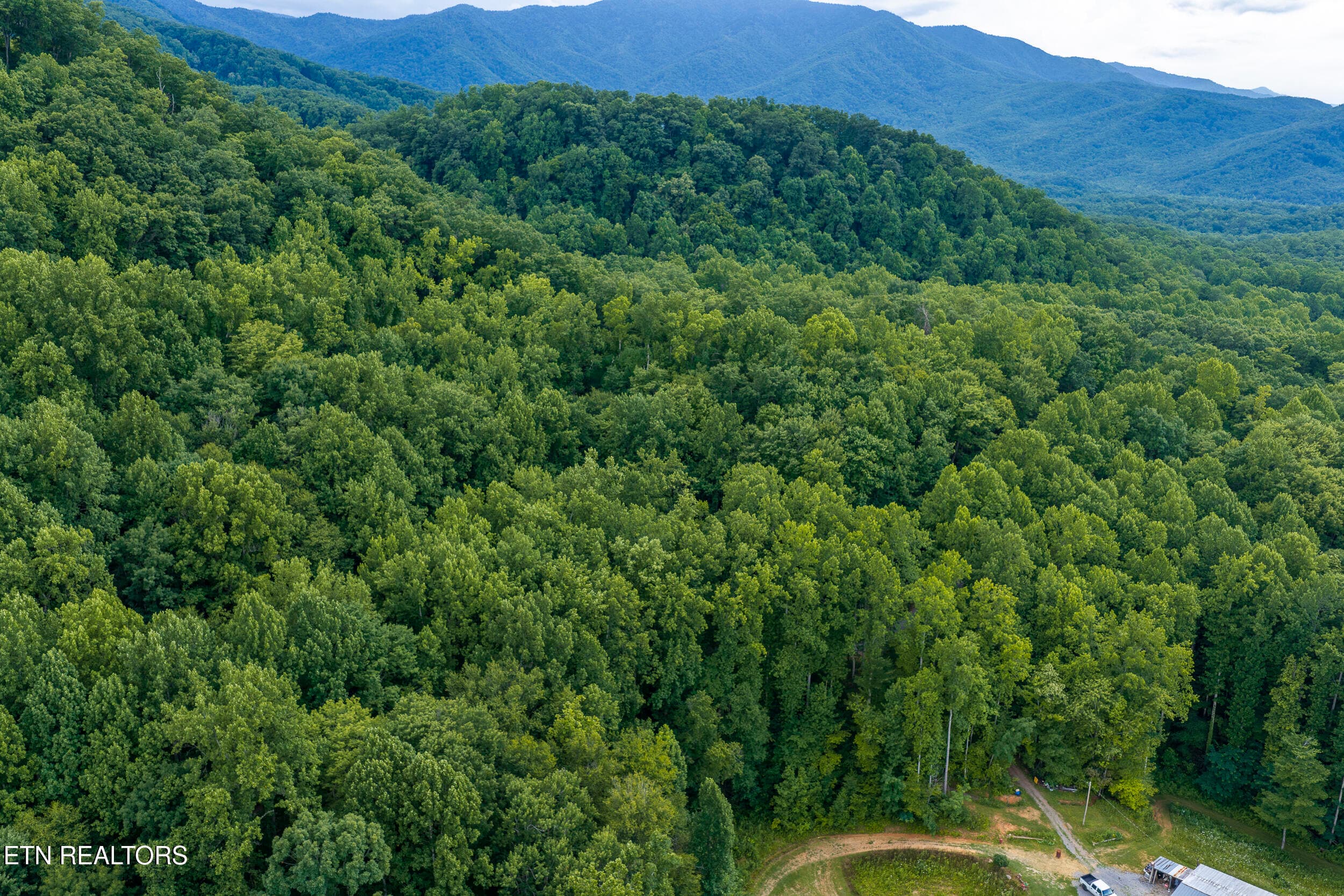 DJI_20260705164344_0524_D-HDR - Emilyville Way, Cosby, TN 37722