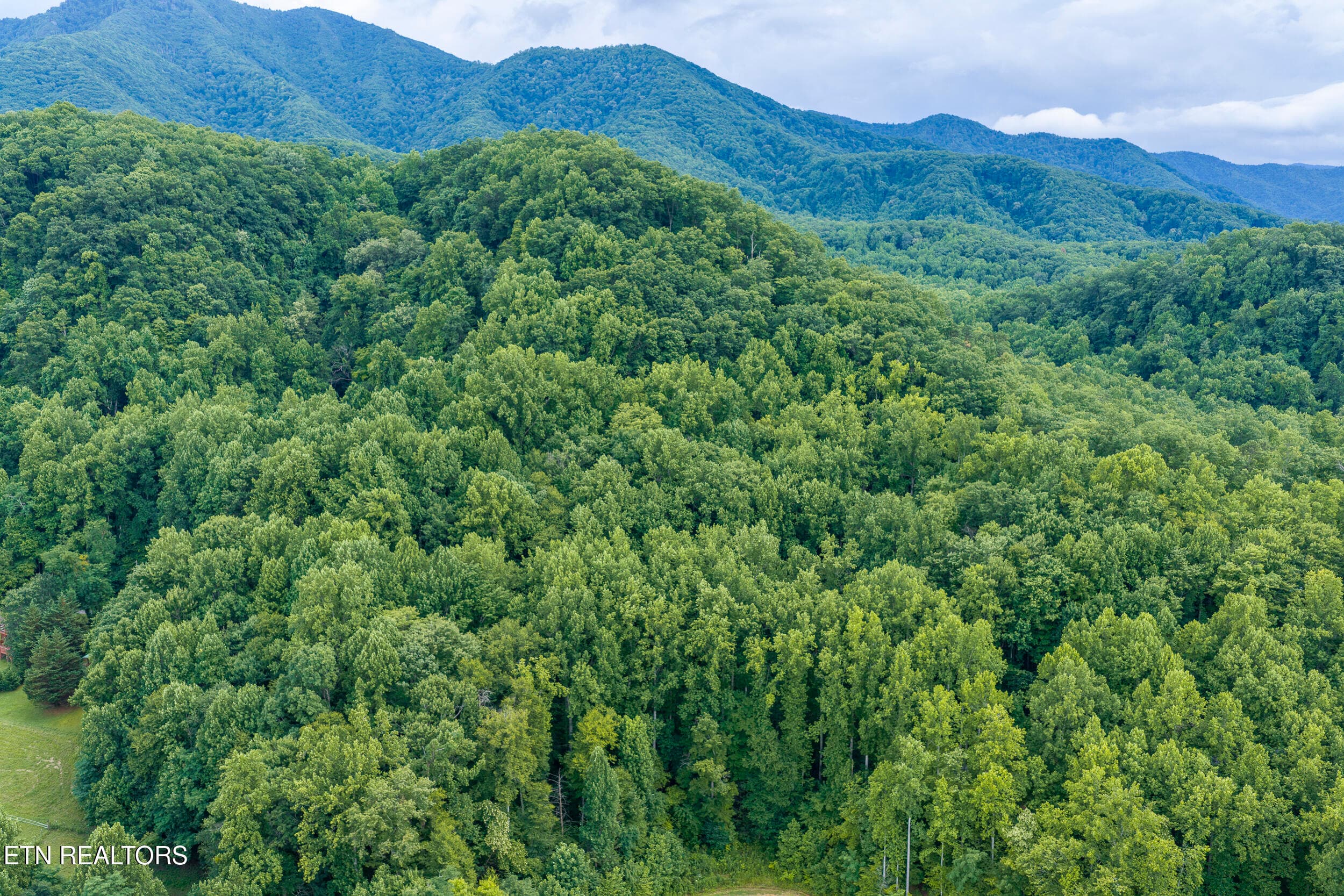 DJI_20260705164407_0529_D-HDR - Emilyville Way, Cosby, TN 37722
