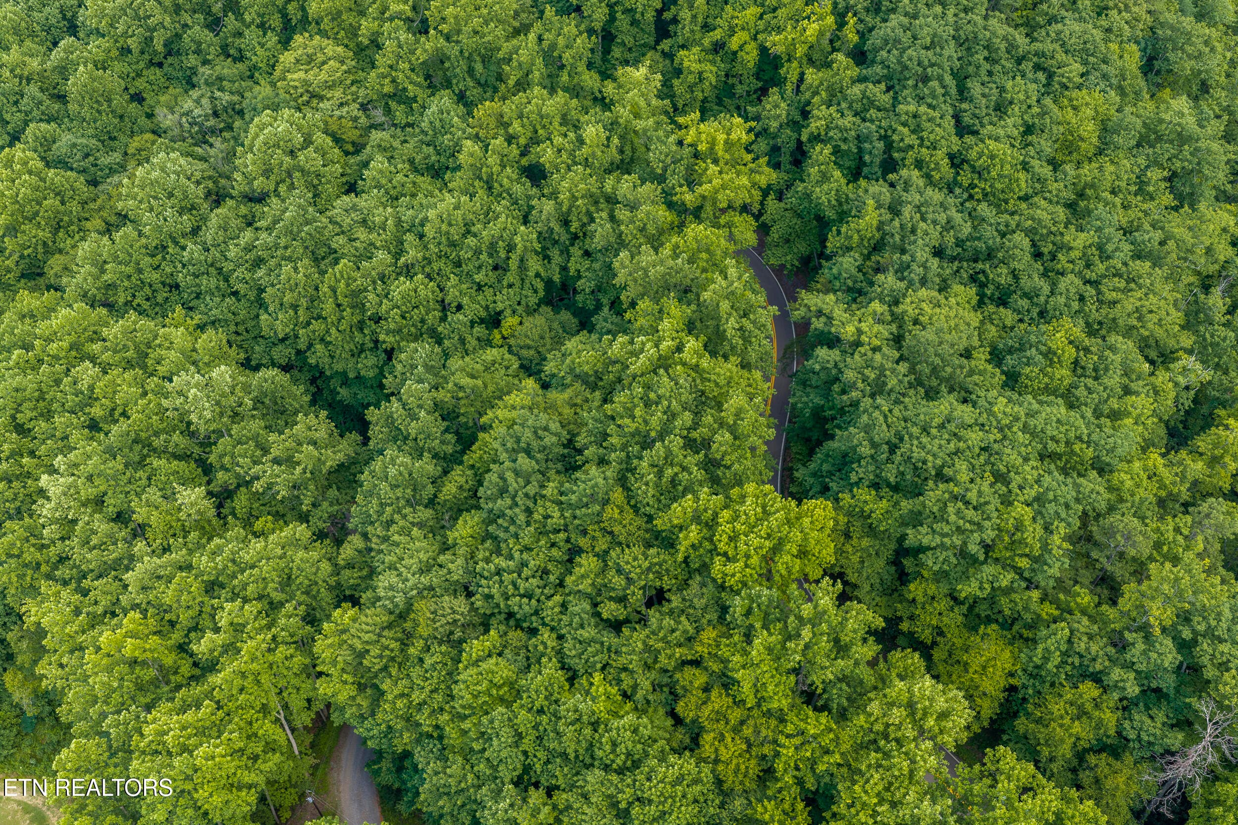 DJI_20260705164437_0534_D-HDR - Emilyville Way, Cosby, TN 37722