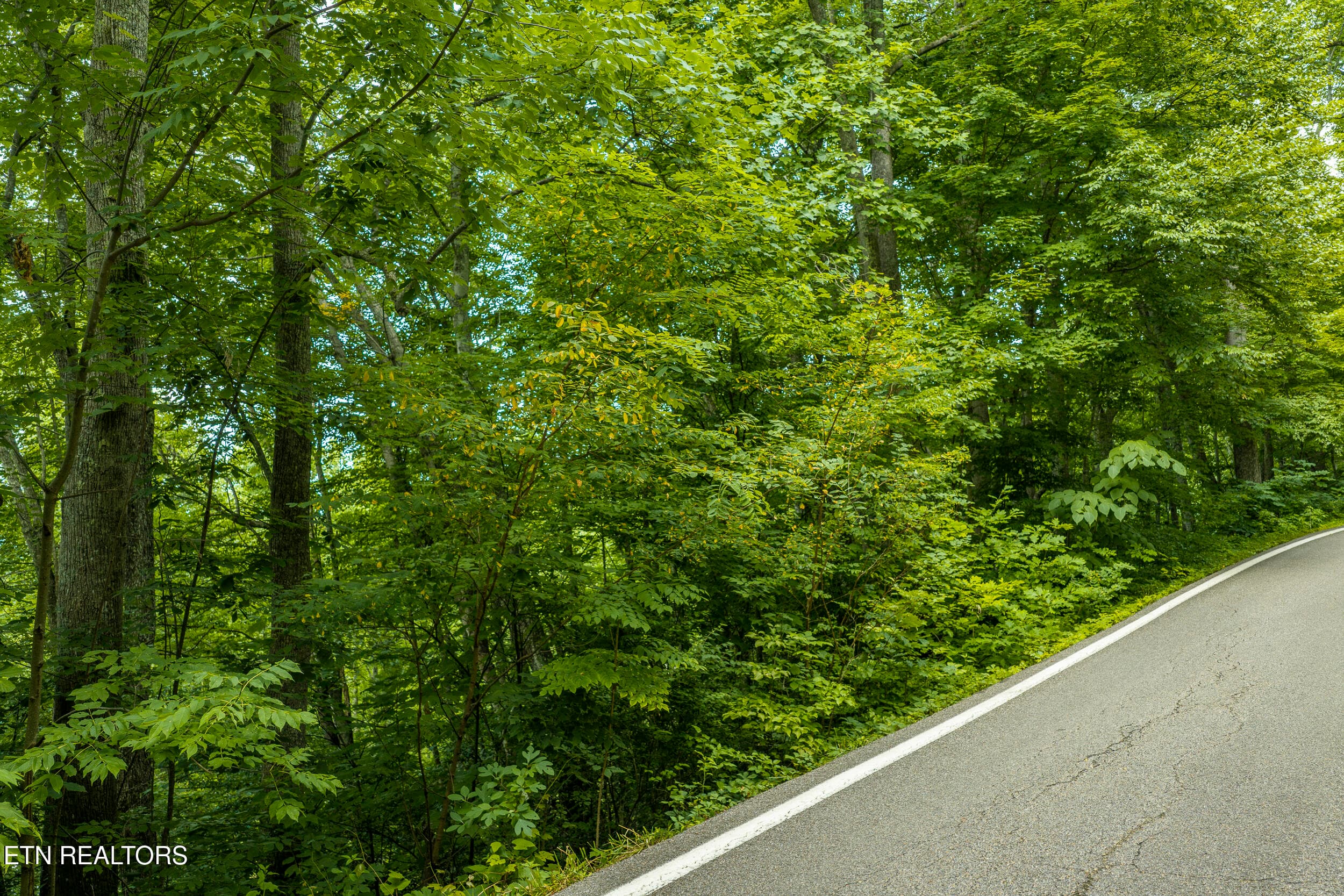DJI_20260705164558_0544_D-HDR - Emilyville Way, Cosby, TN 37722