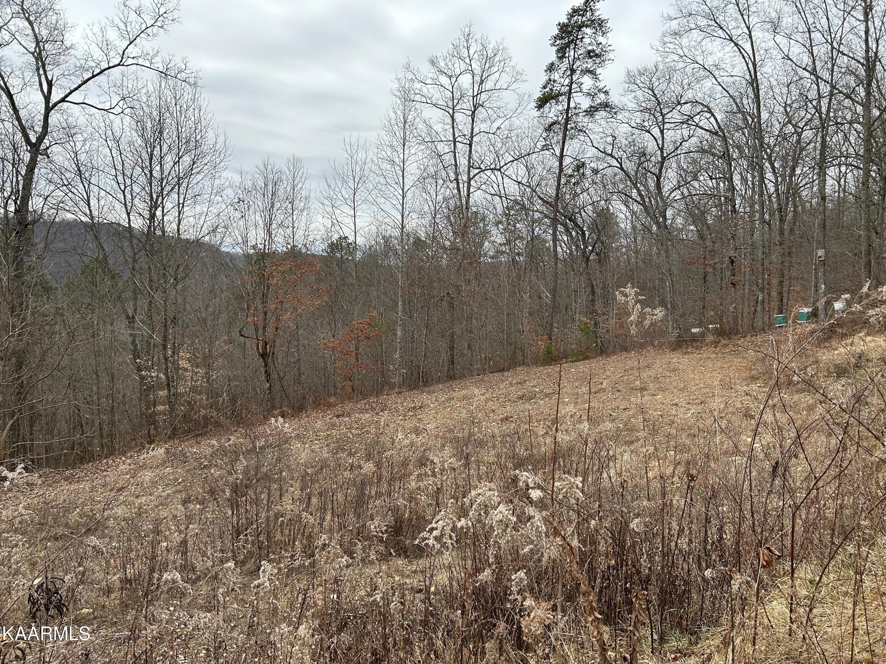 IMG_0029 - 5271 Vardy Blackwater Rd, Sneedville, TN 37869