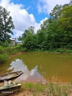 pond w boats jpeg - 5271 Vardy Blackwater Rd, Sneedville, TN 37869