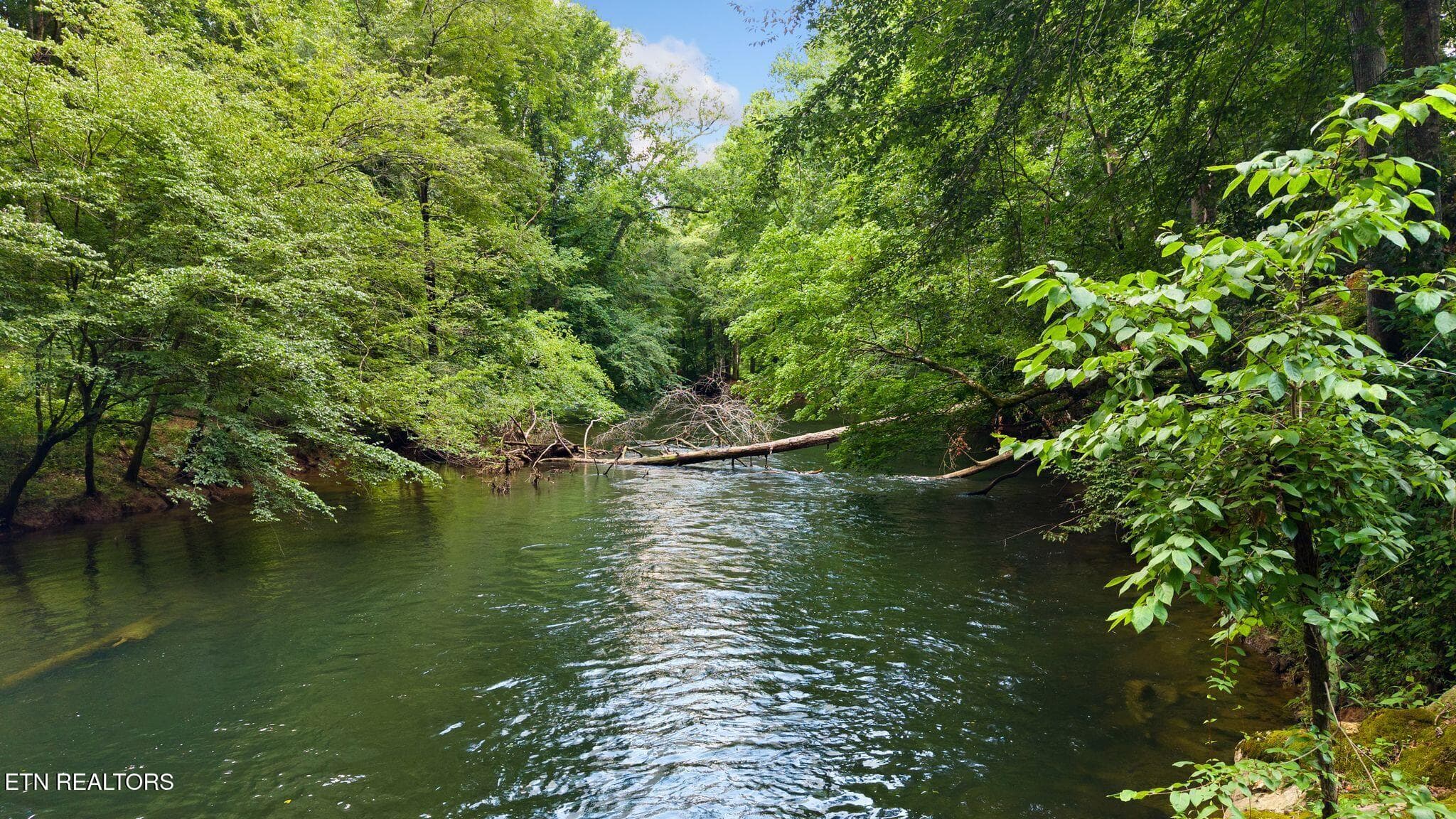 50_53 - 800 Reynolds Bridge Rd, Benton, TN 37307