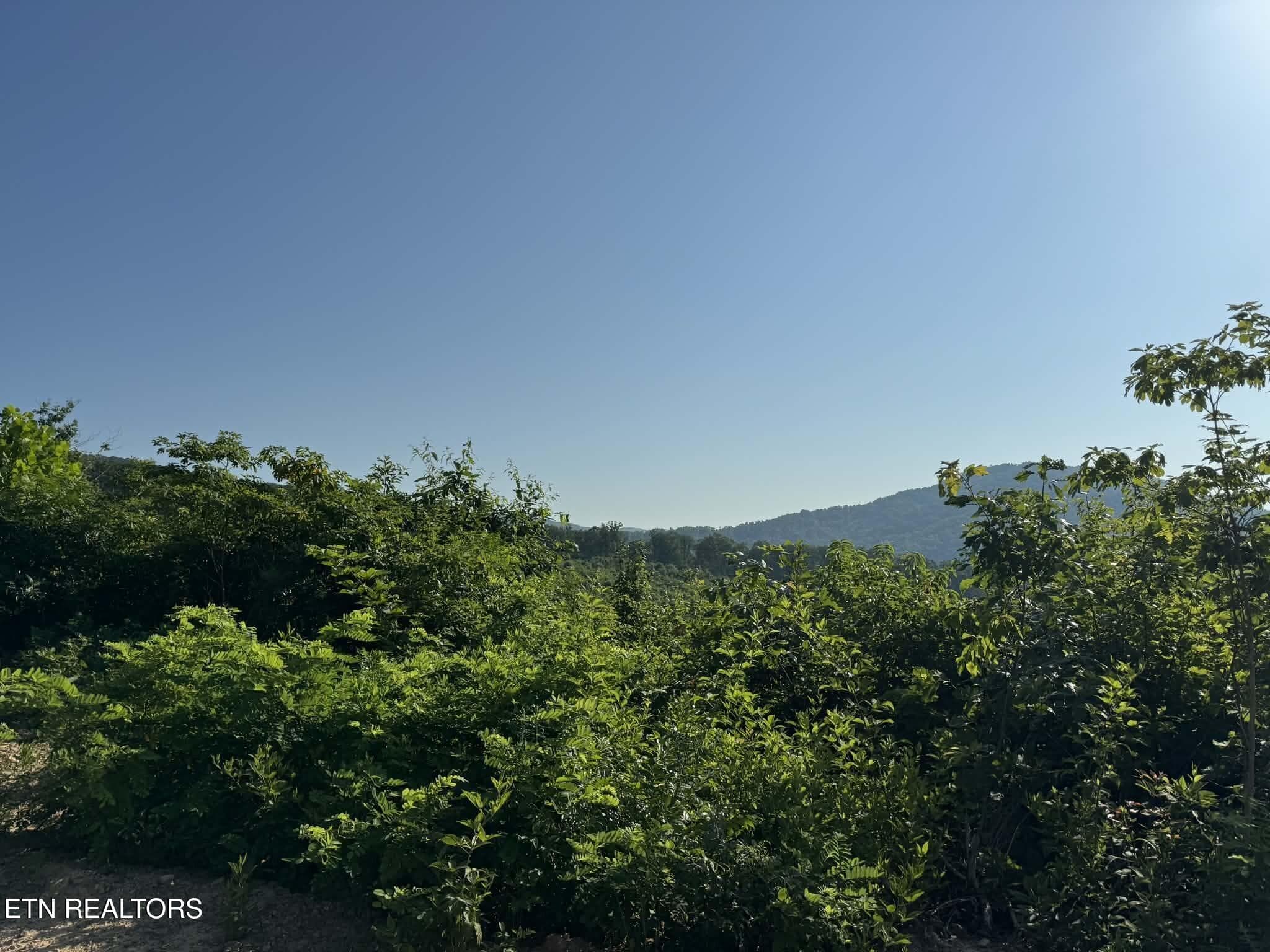 att.2wGAG7OIyKgR1uR2HT5_3XKJYfGjTwhuBKUd - Tower Rd, Tazewell, TN 37879