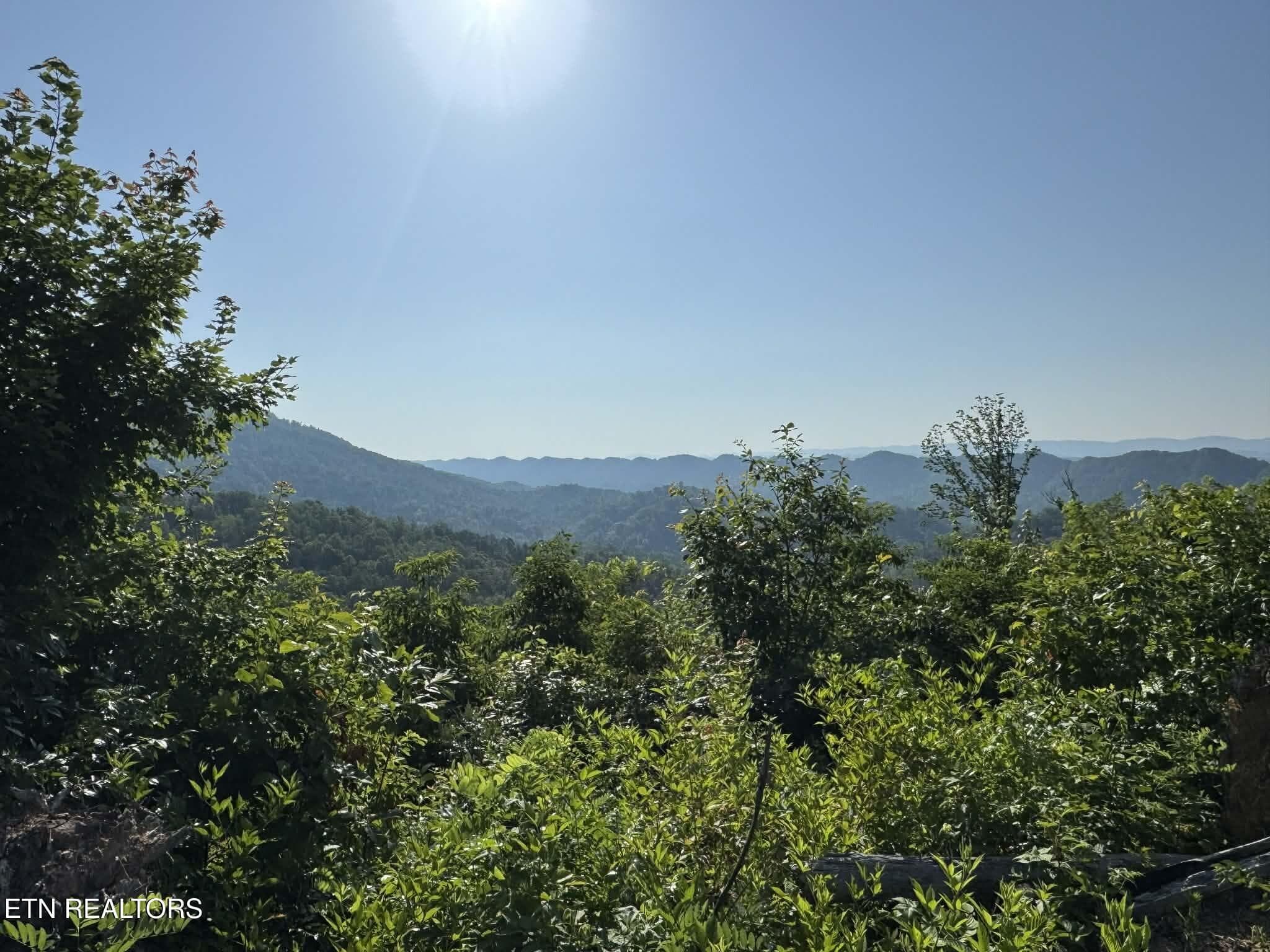 att.dKMoKpgNTyN42dUU56p61tkKc1XliDtK5sdi - Tower Rd, Tazewell, TN 37879