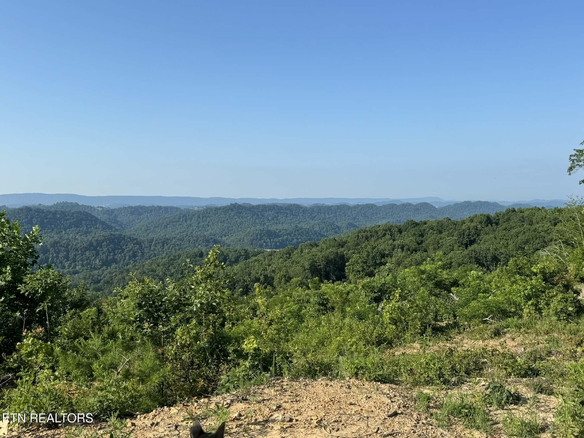 att.40ko6BnD9ZvIjRvNDrDSSW1Zm4GTqMT4xGGQ - Tower Rd, Tazewell, TN 37879