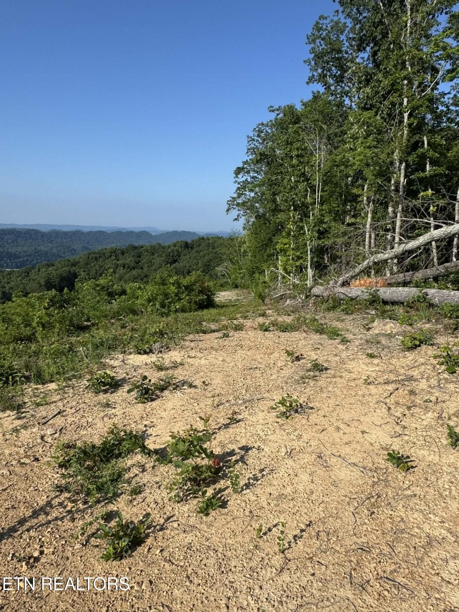 att.vBTdmFYDCydpuVe6kEp8_x7WYdXY_DRFrbTj - Tower Rd, Tazewell, TN 37879