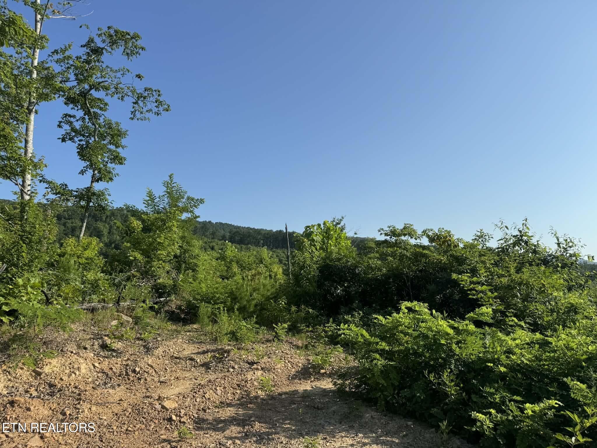 att.qeERbm8tz4ehm3L5r9sr8kkDd3k_8akF4Tpm - Tower Rd, Tazewell, TN 37879