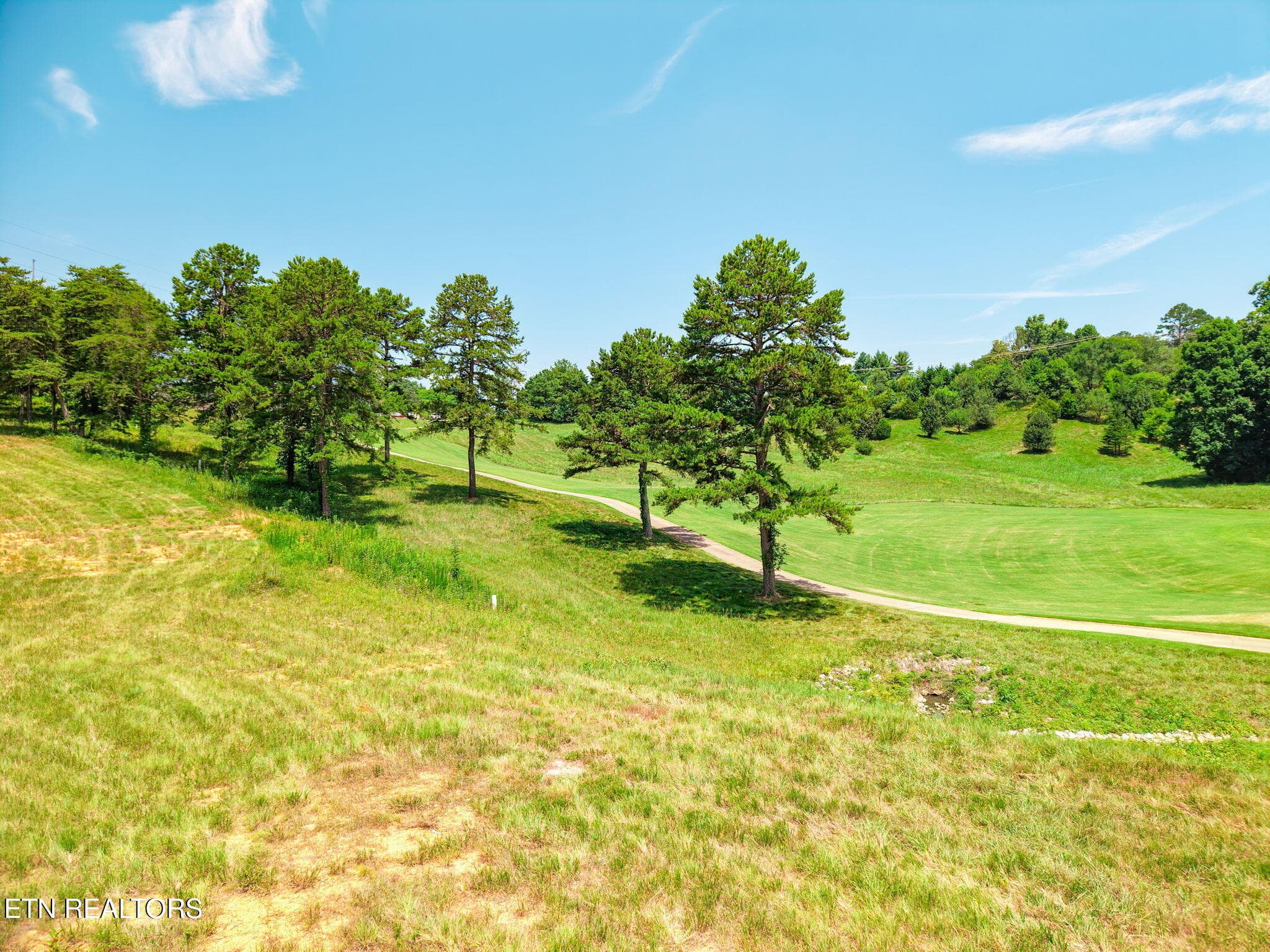 11-web-or-mls-018--FULL - 121 Driftwood Lane, Lenoir City, TN 37772, Lenoir City