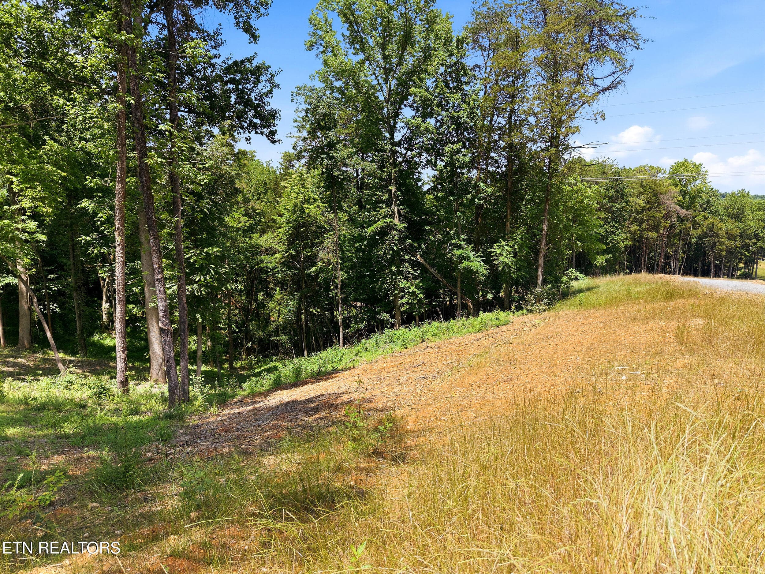 16_147_summit_view_dr_0010 - 147 Summit View Drive, Loudon, TN 37774