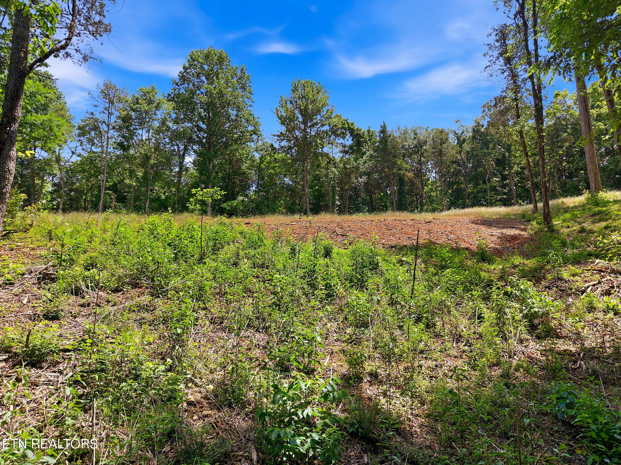 147 Summit View Dr. - 147 Summit View Drive, Loudon, TN 37774