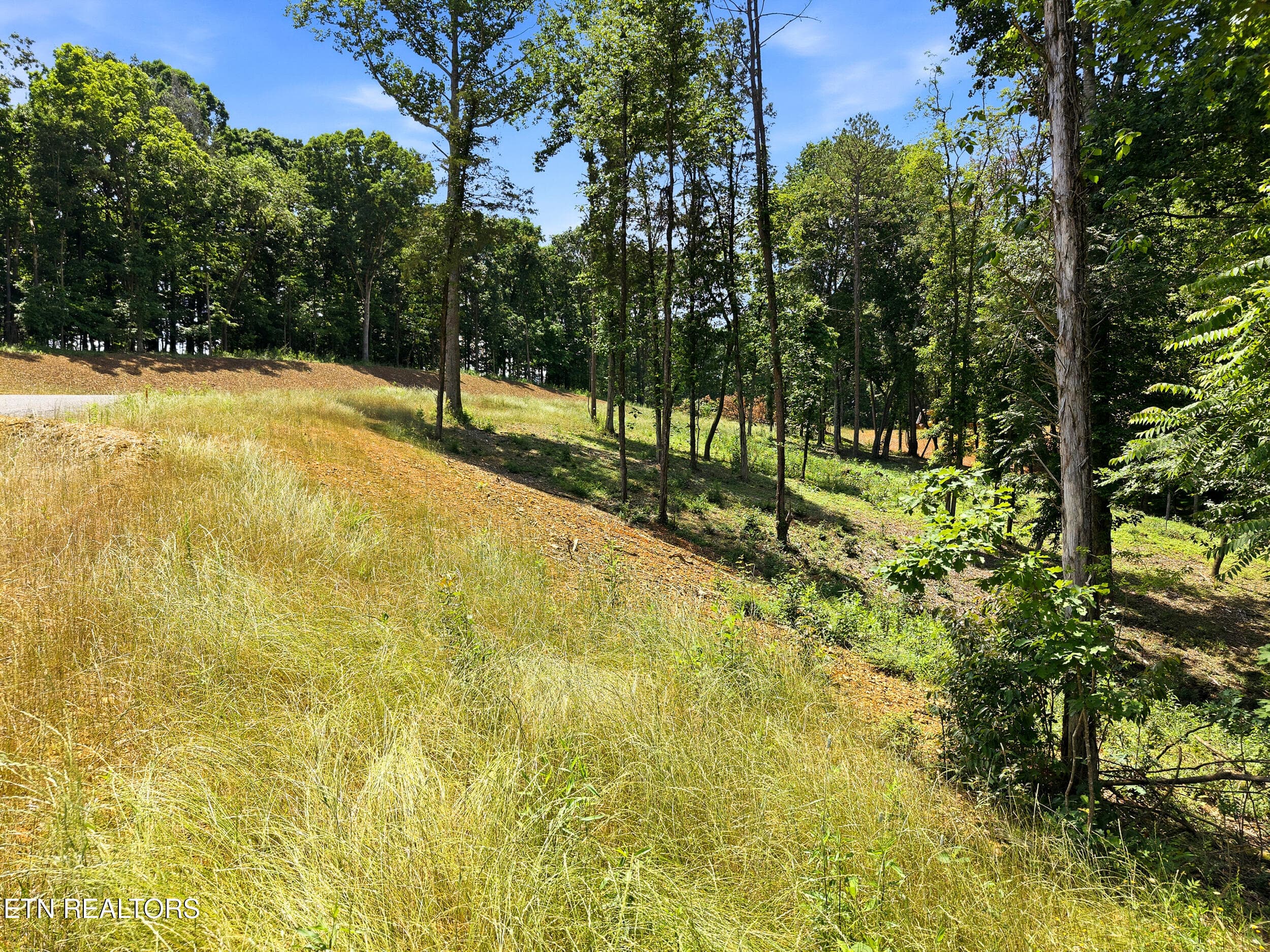 147 Summit View Dr. - 147 Summit View Drive, Loudon, TN 37774