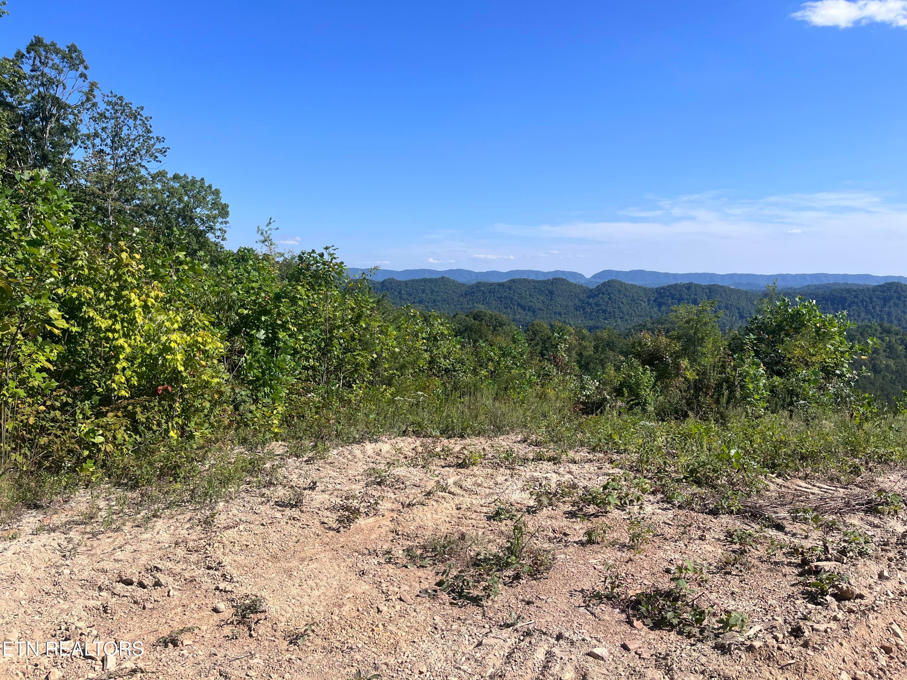 IMG_1069 - Tower Rd, Tazewell, TN 37879