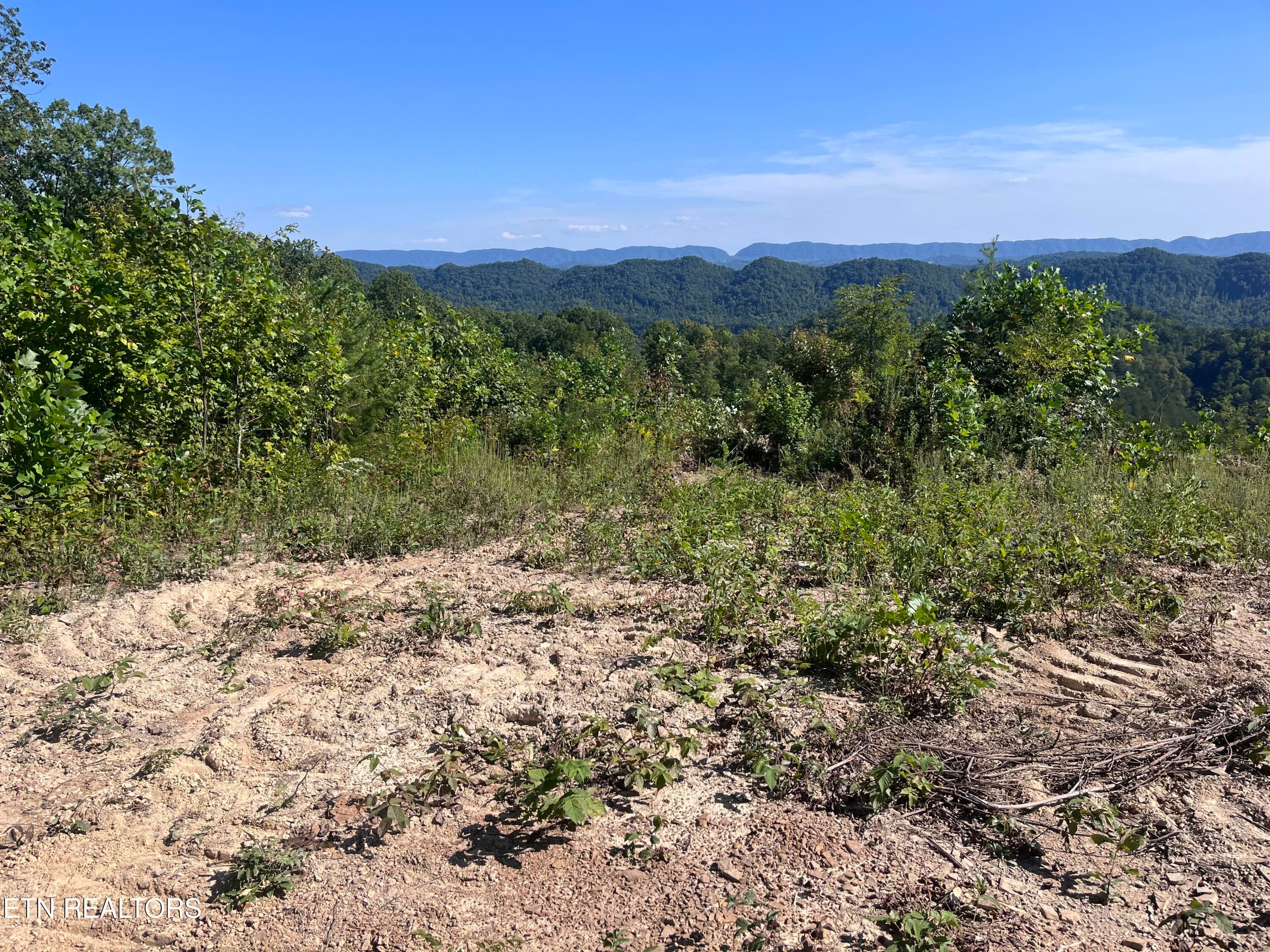 IMG_1077 - Tower Rd, Tazewell, TN 37879