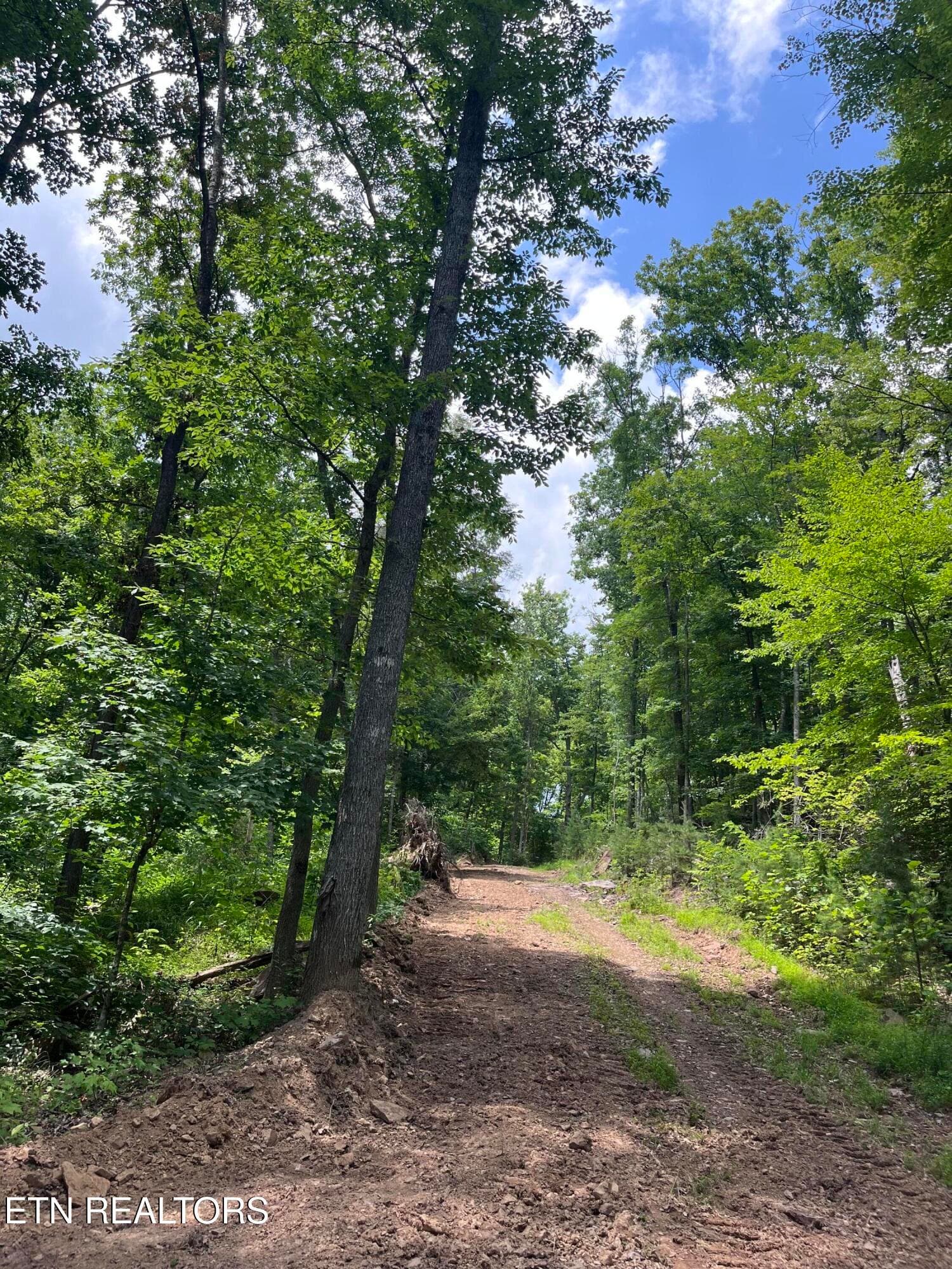 IMG_7459 - Tower Rd, Tazewell, TN 37879