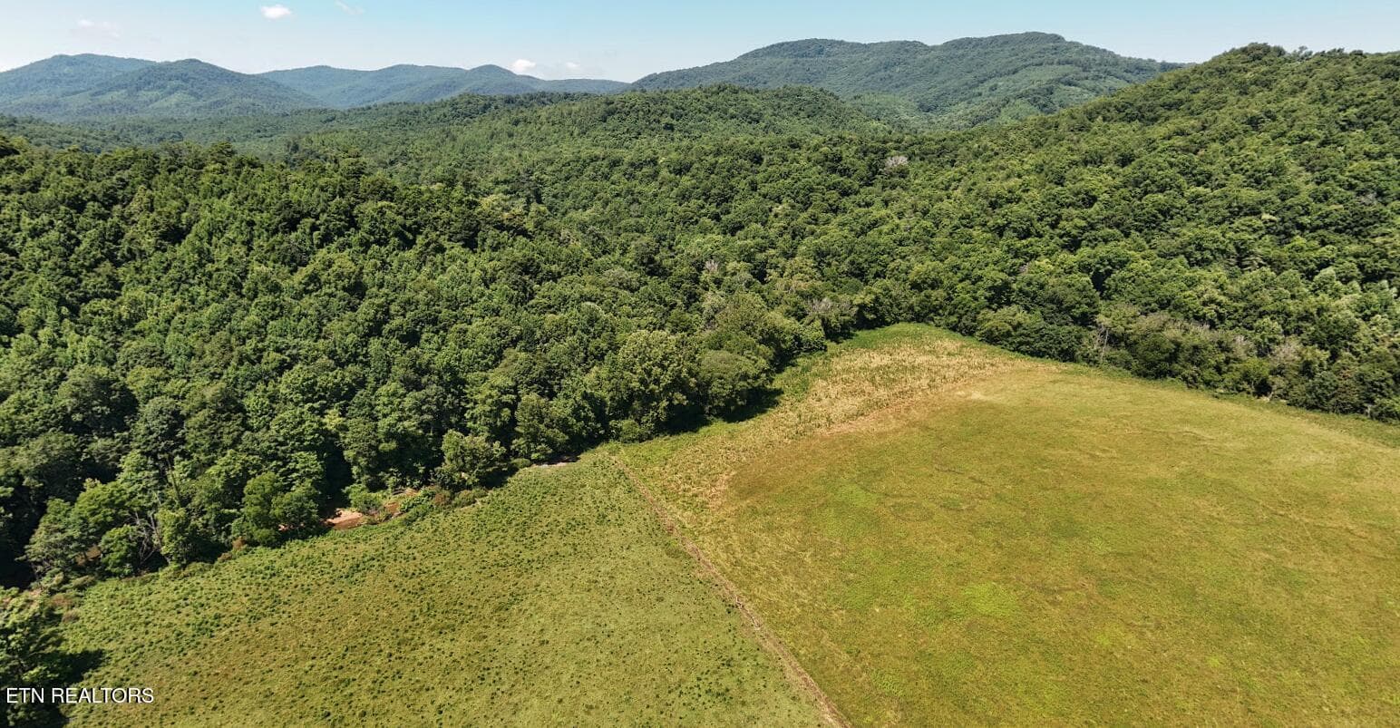 Image 7-8-26 at 5.39PM - 0 Brimstone Rd, Robbins, TN 37852