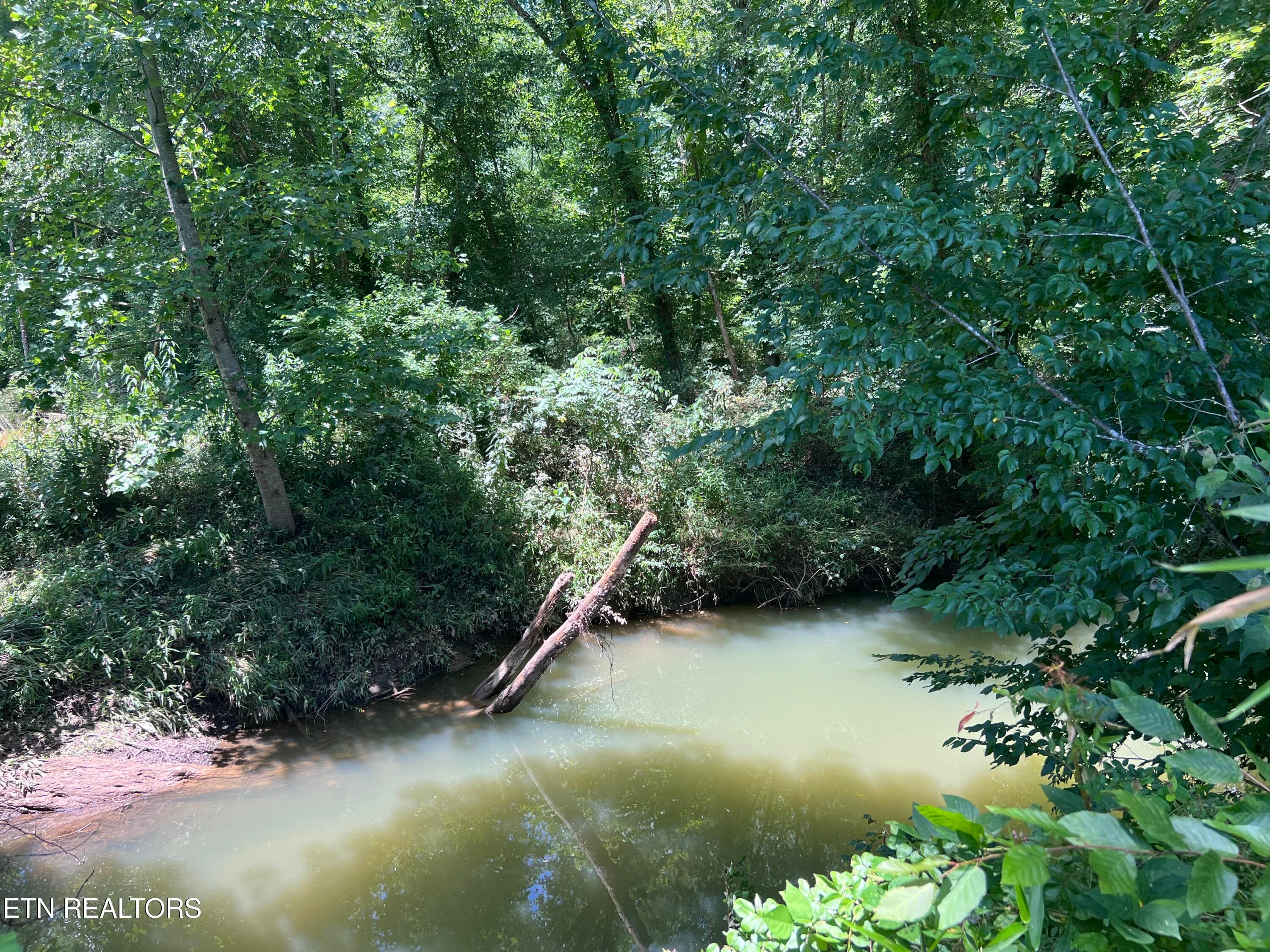 IMG_6309 - 0 Brimstone Rd, Robbins, TN 37852