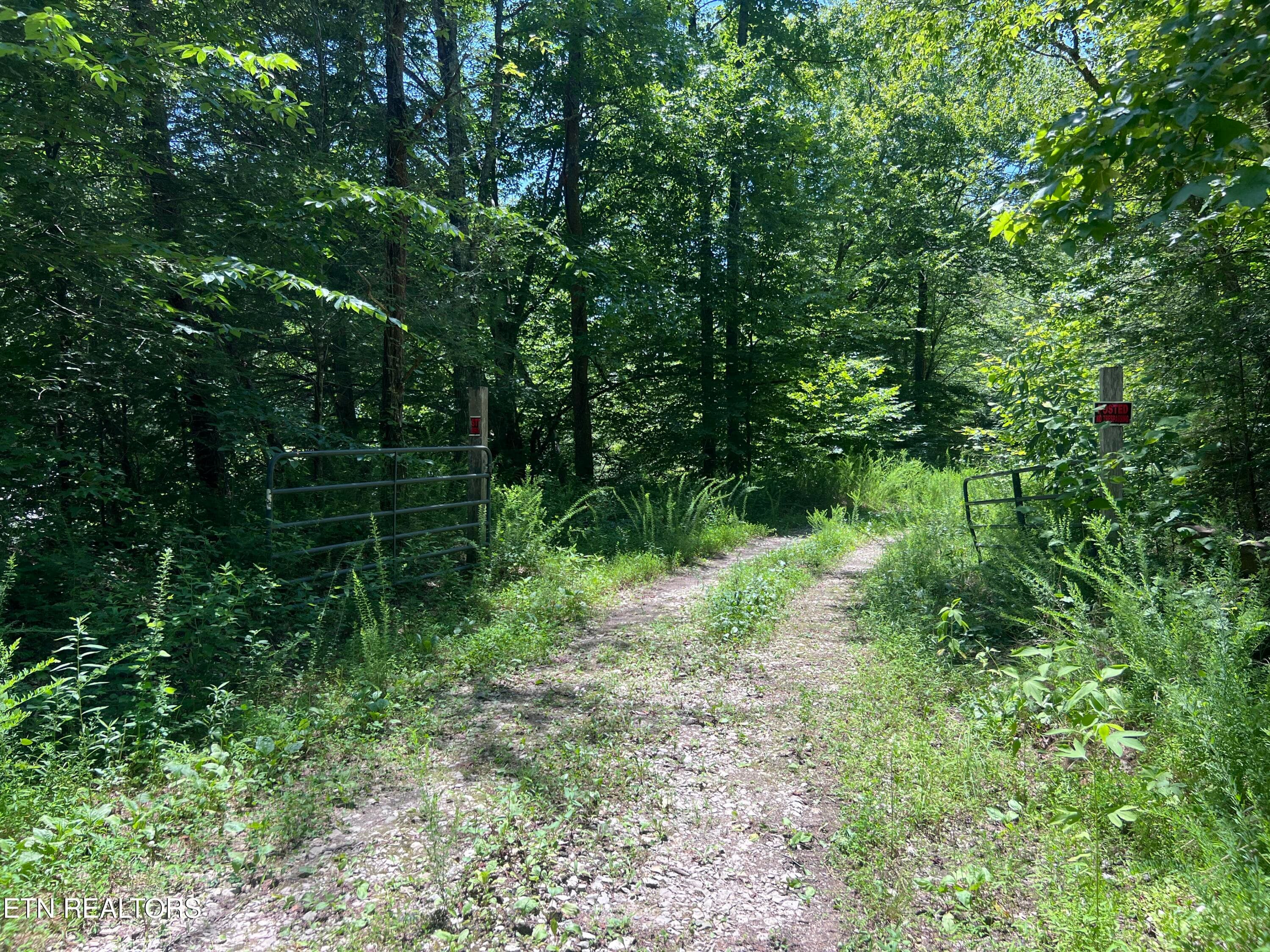 IMG_6306 - 0 Brimstone Rd, Robbins, TN 37852