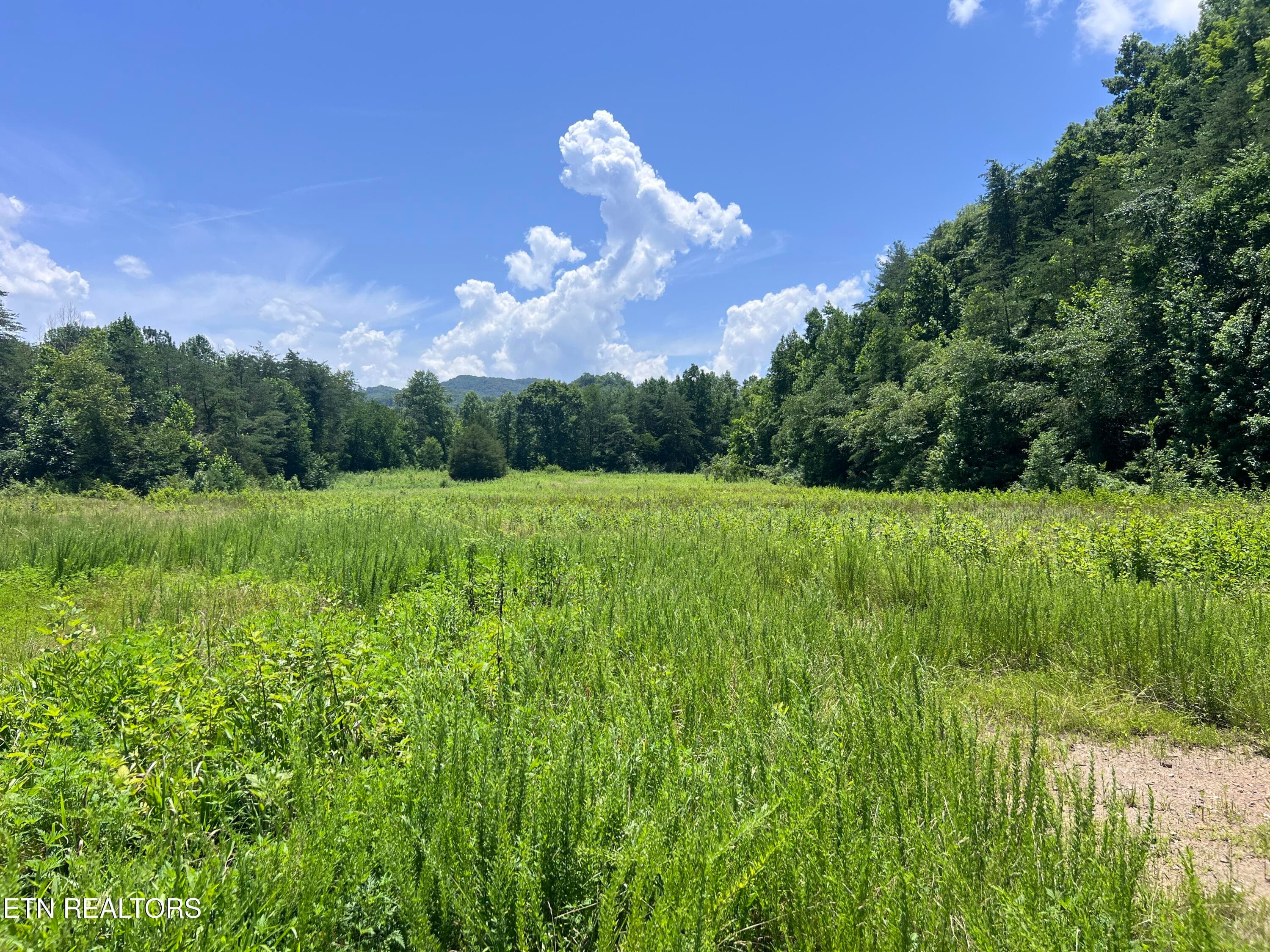 IMG_6304 - 0 Brimstone Rd, Robbins, TN 37852