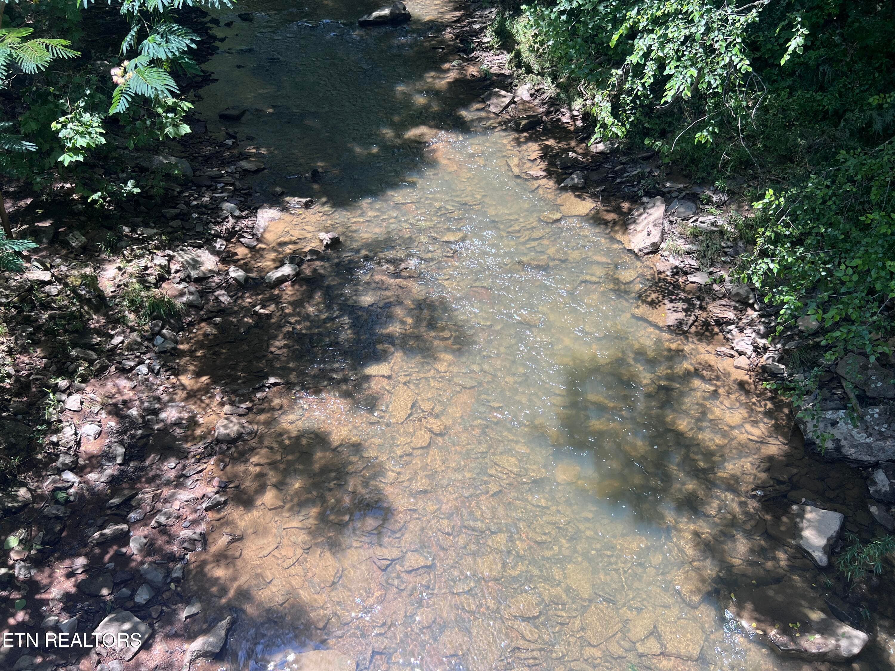 IMG_6307 - 0 Brimstone Rd, Robbins, TN 37852