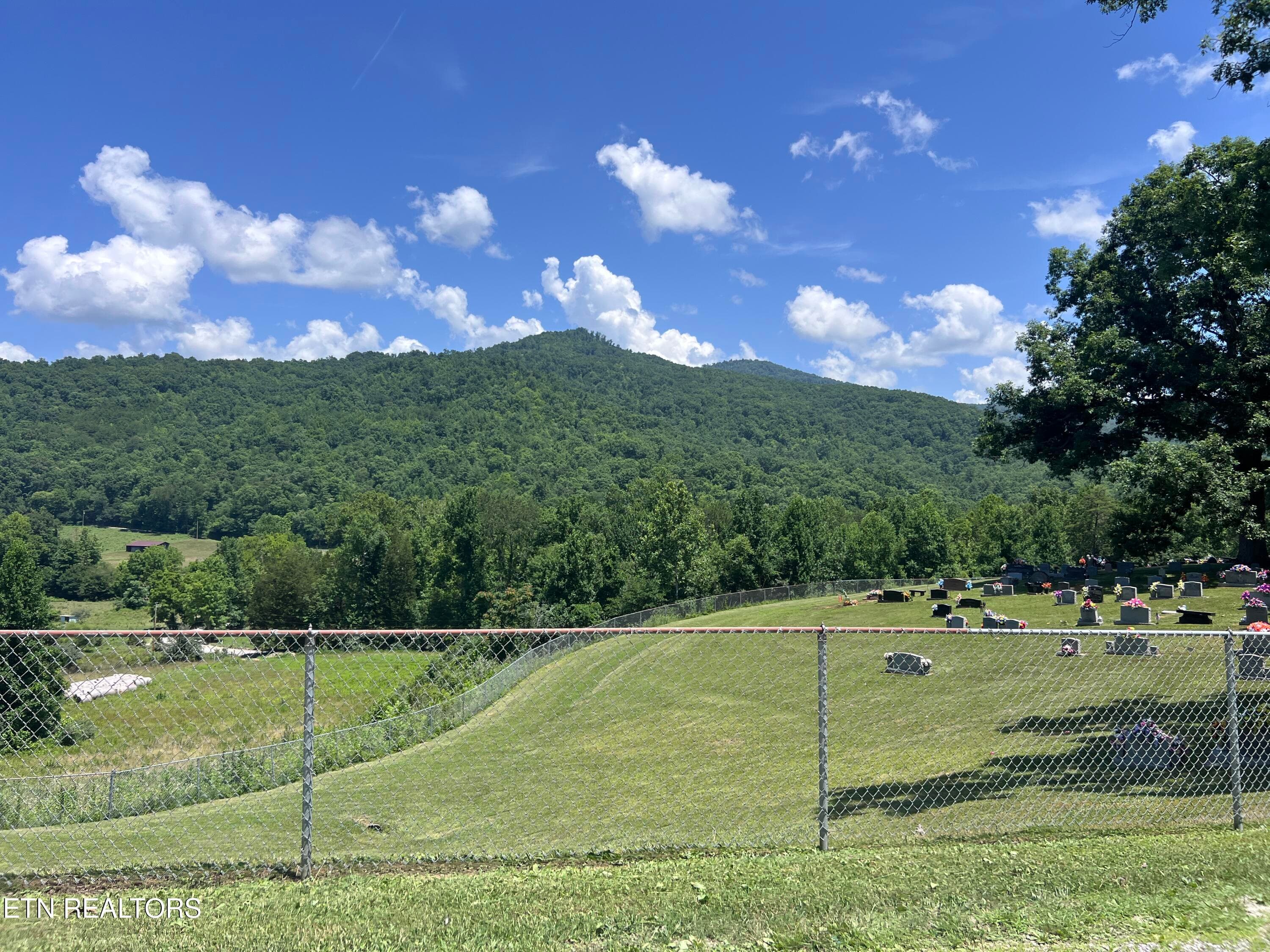 IMG_6298 - 0 Brimstone Rd, Robbins, TN 37852