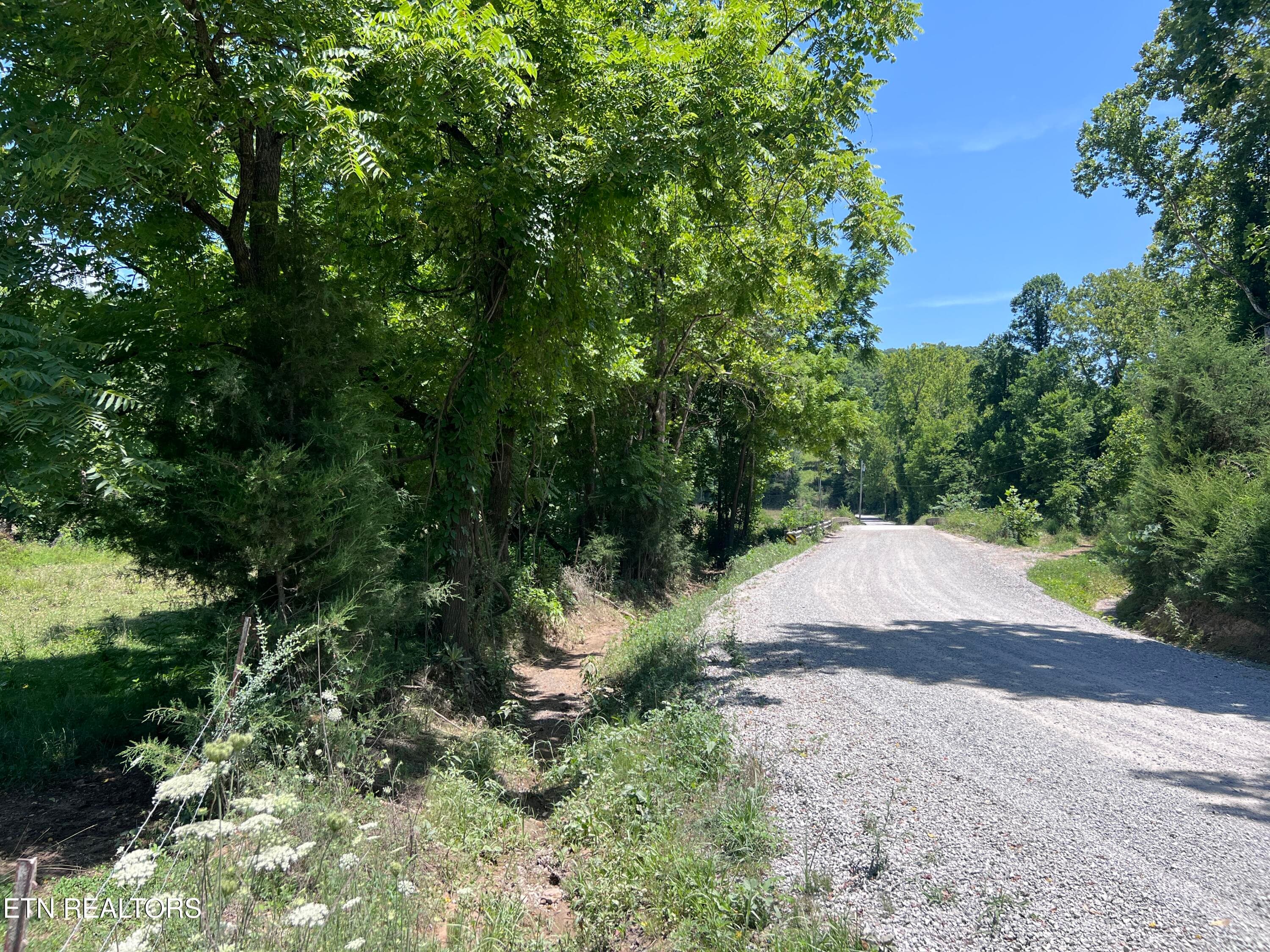 IMG_6297 - 0 Brimstone Rd, Robbins, TN 37852