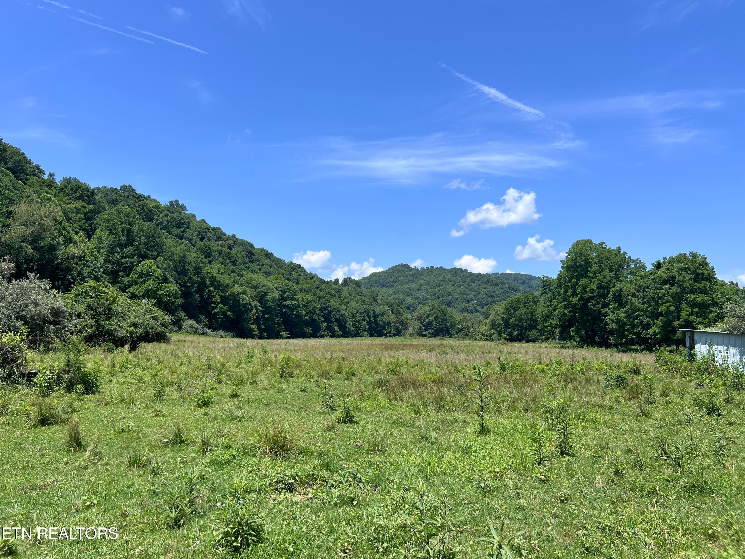 IMG_6296 - 0 Brimstone Rd, Robbins, TN 37852