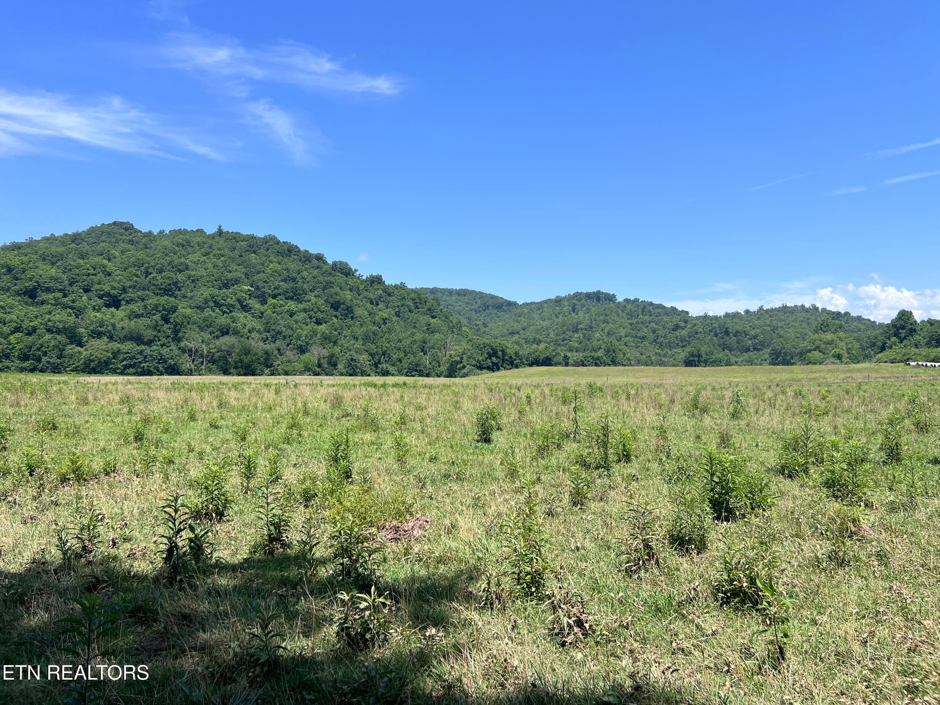 IMG_6285 - 0 Brimstone Rd, Robbins, TN 37852