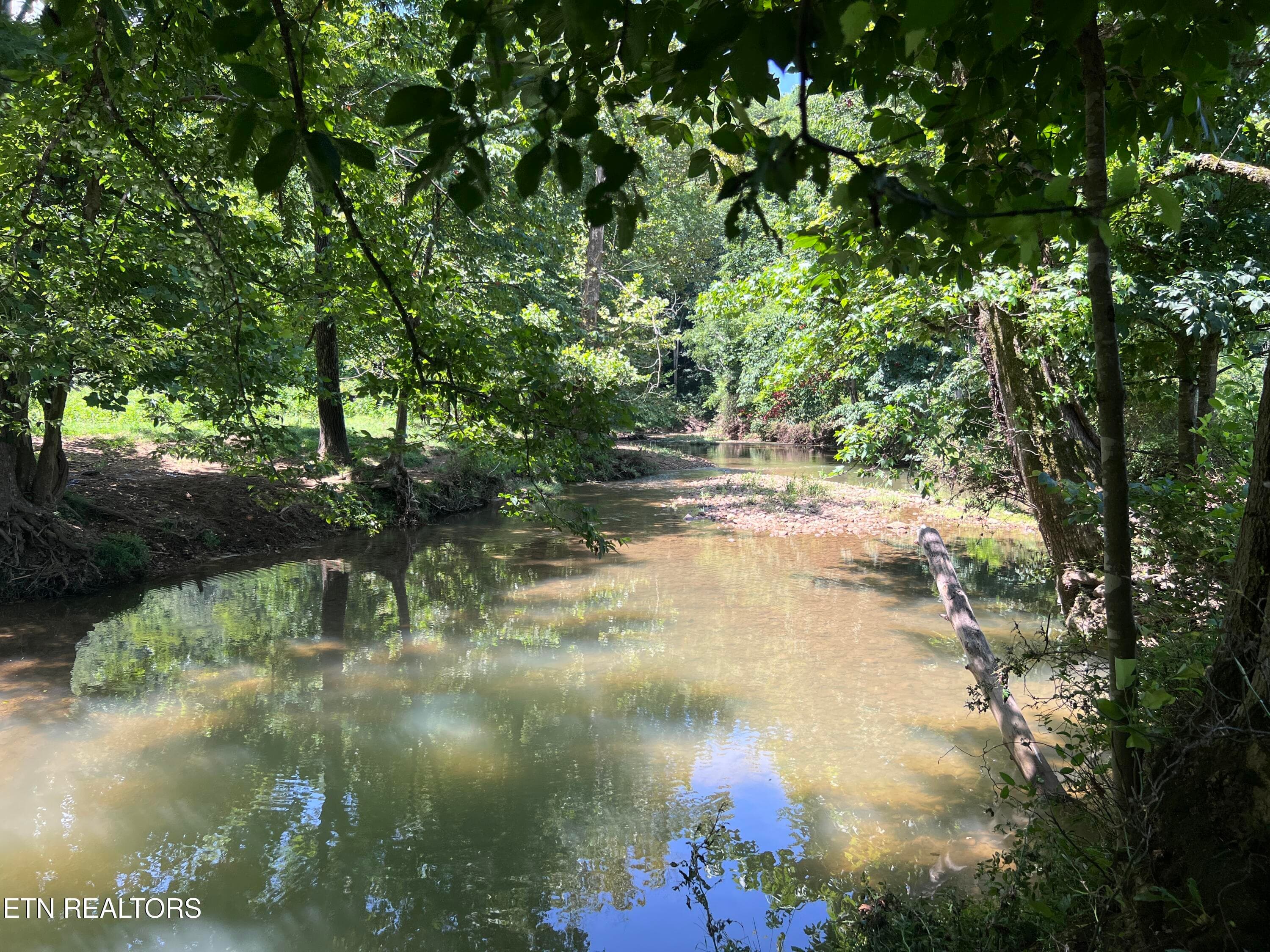 IMG_6284 - 0 Brimstone Rd, Robbins, TN 37852