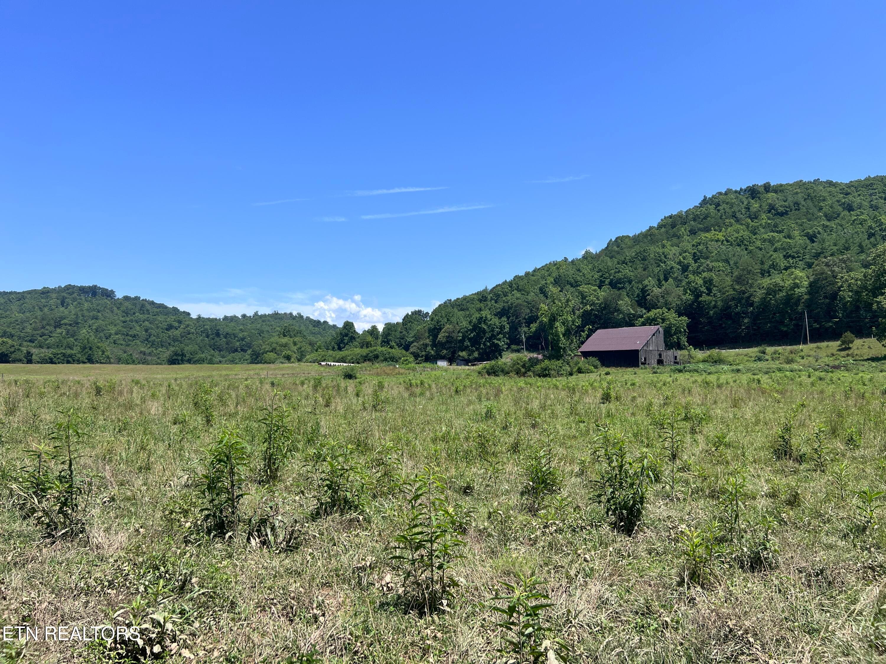 IMG_6283 - 0 Brimstone Rd, Robbins, TN 37852