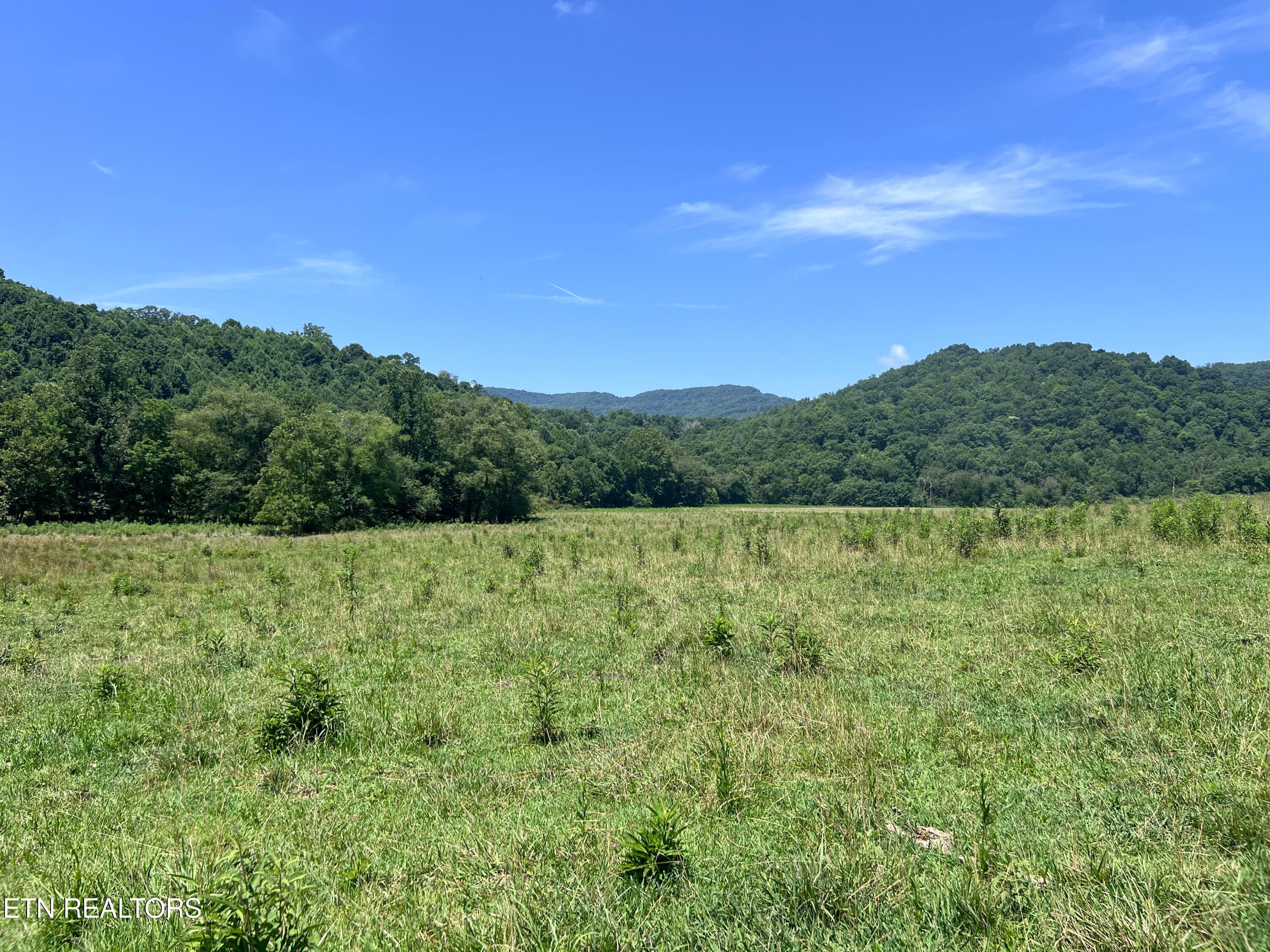 IMG_6280 - 0 Brimstone Rd, Robbins, TN 37852