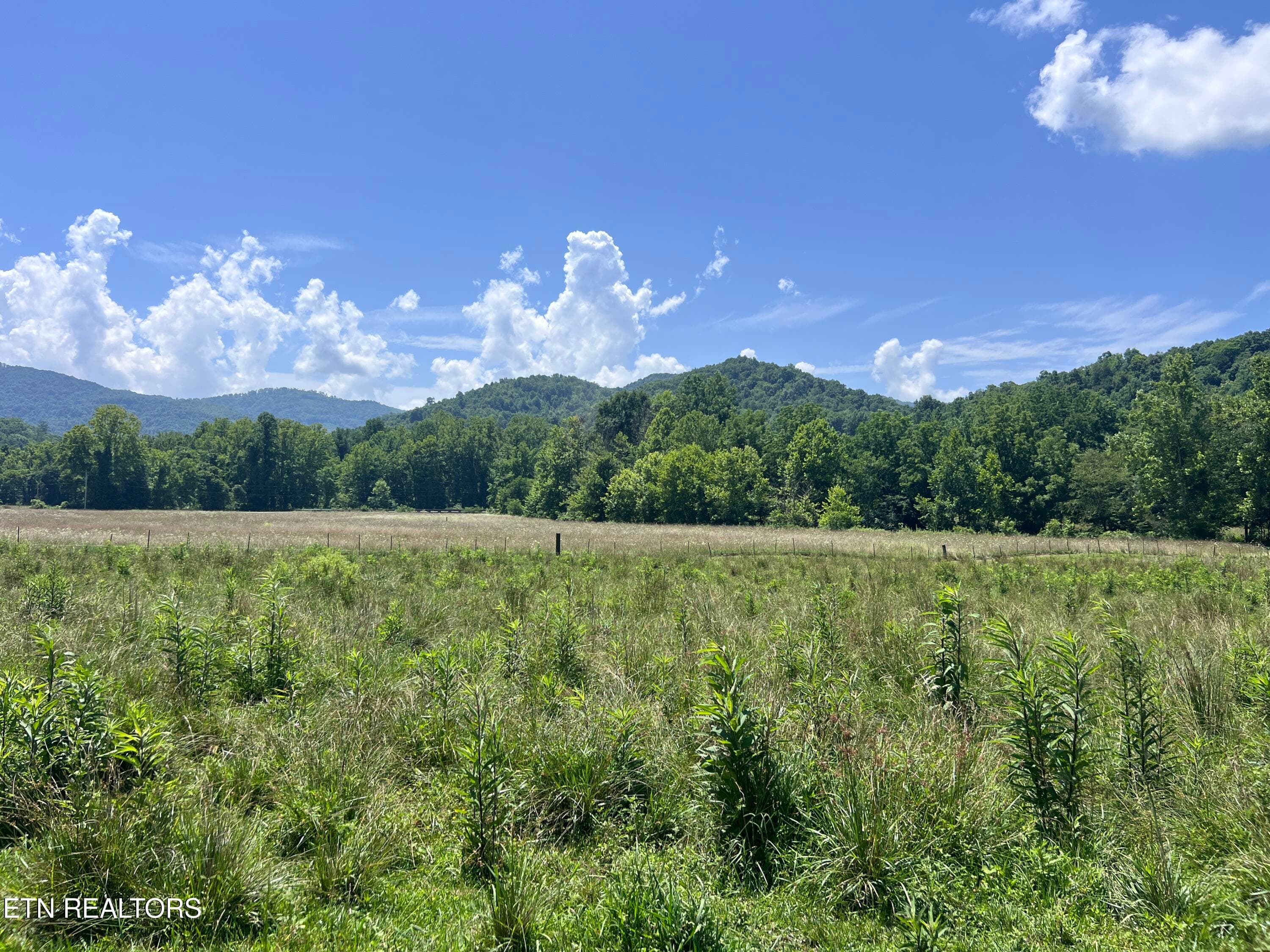 IMG_6279 - 0 Brimstone Rd, Robbins, TN 37852