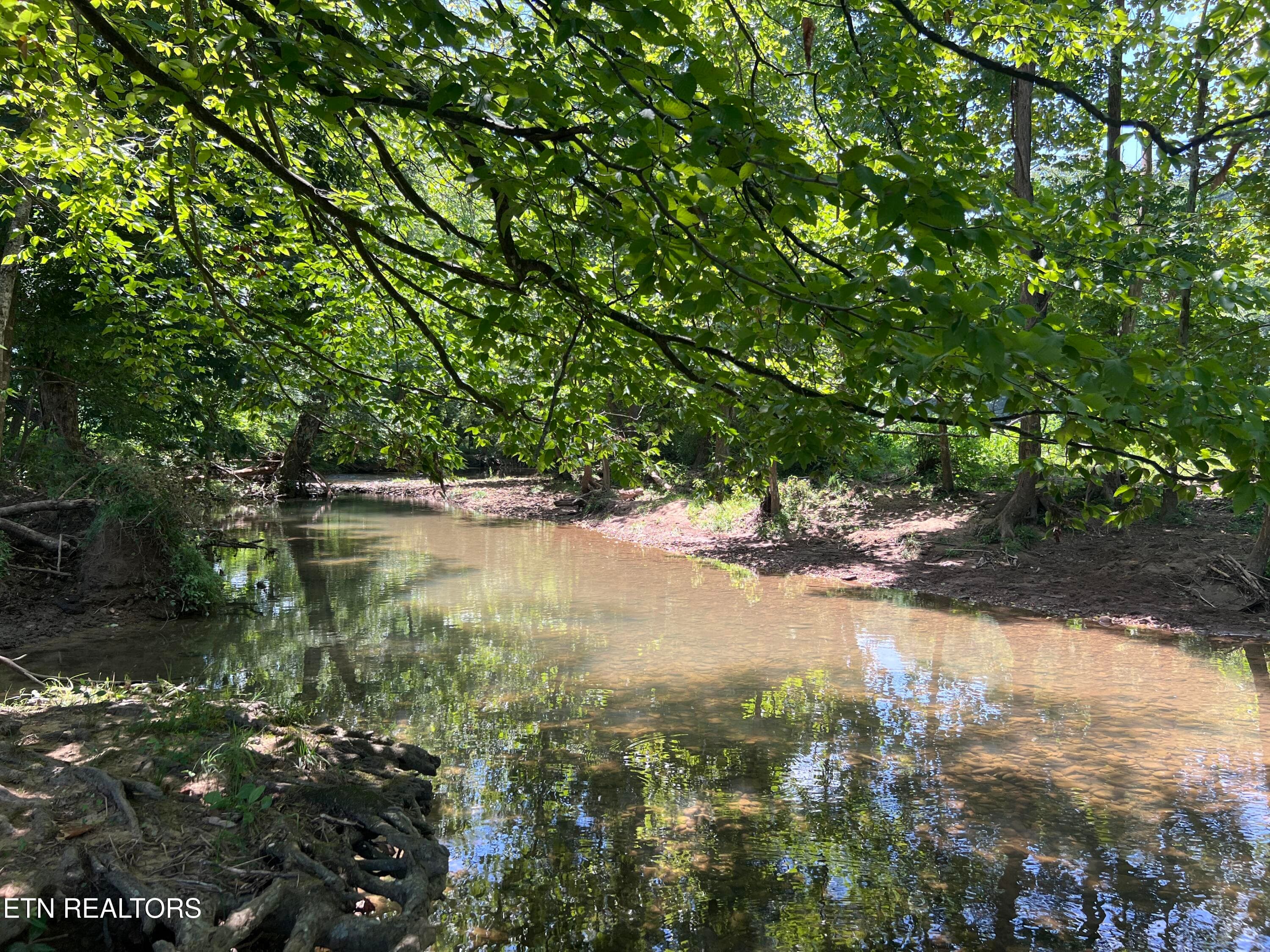 IMG_6282 - 0 Brimstone Rd, Robbins, TN 37852