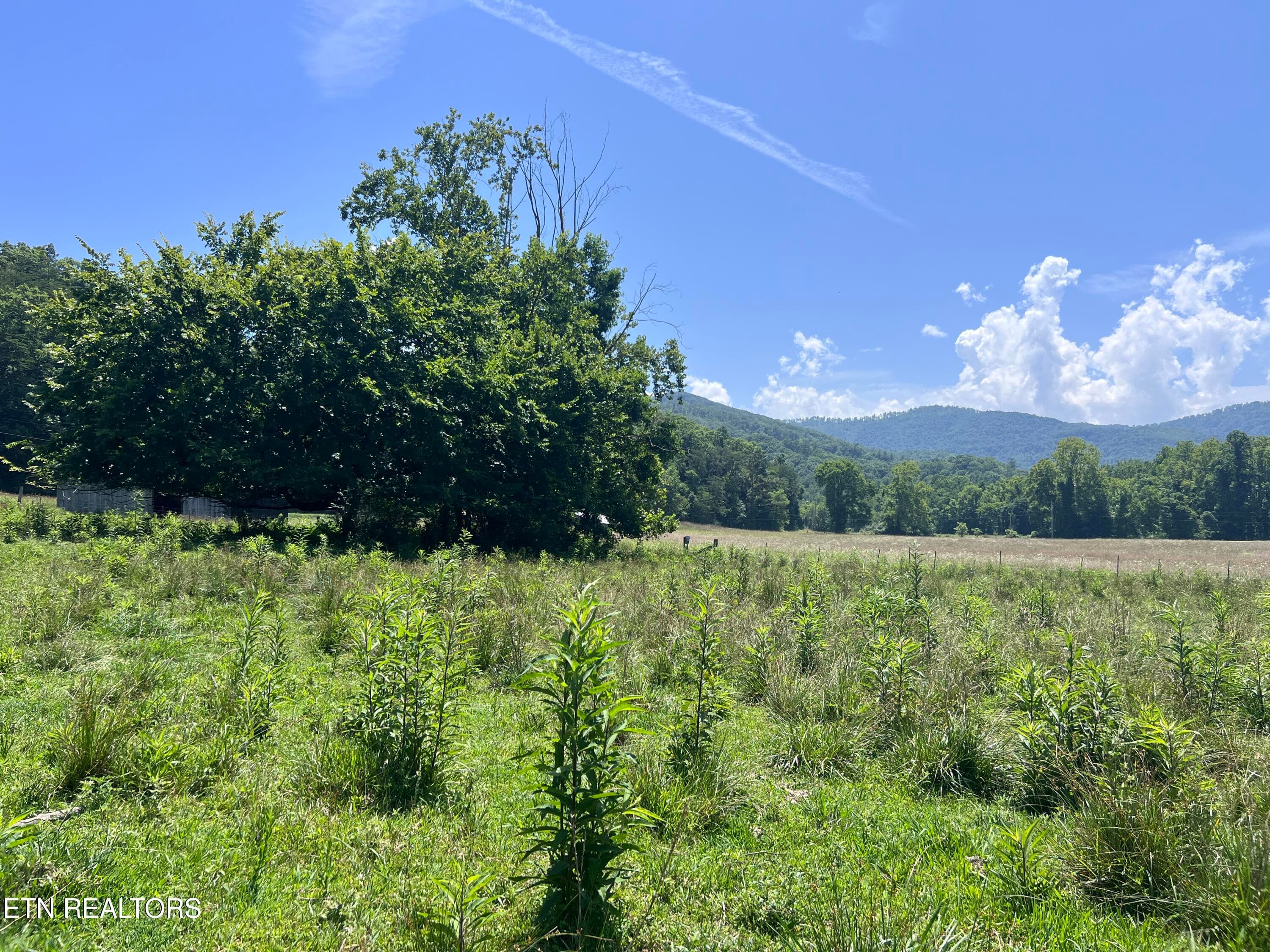 IMG_6278 - 0 Brimstone Rd, Robbins, TN 37852