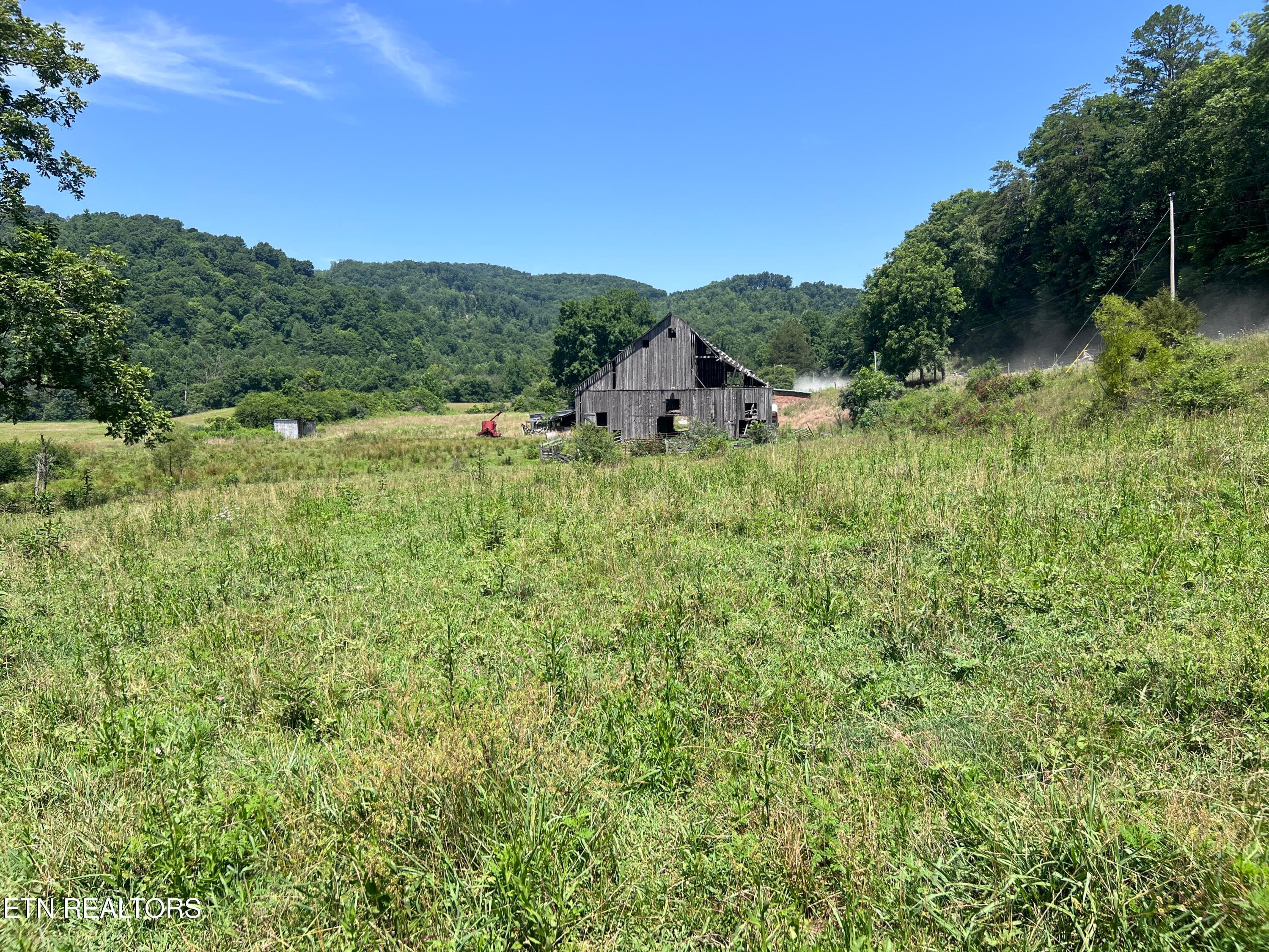 IMG_6274 - 0 Brimstone Rd, Robbins, TN 37852